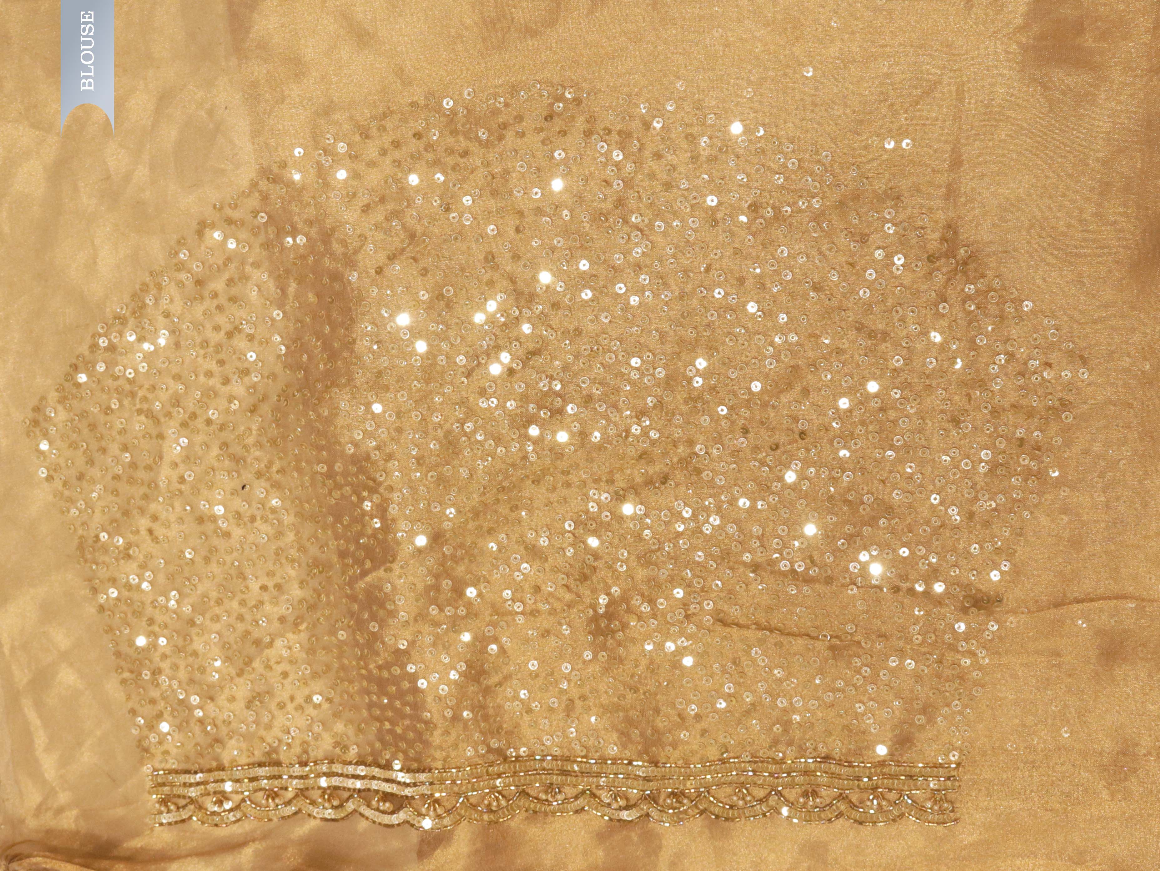 Gold Sequin Organza Saree with Matching Blouse