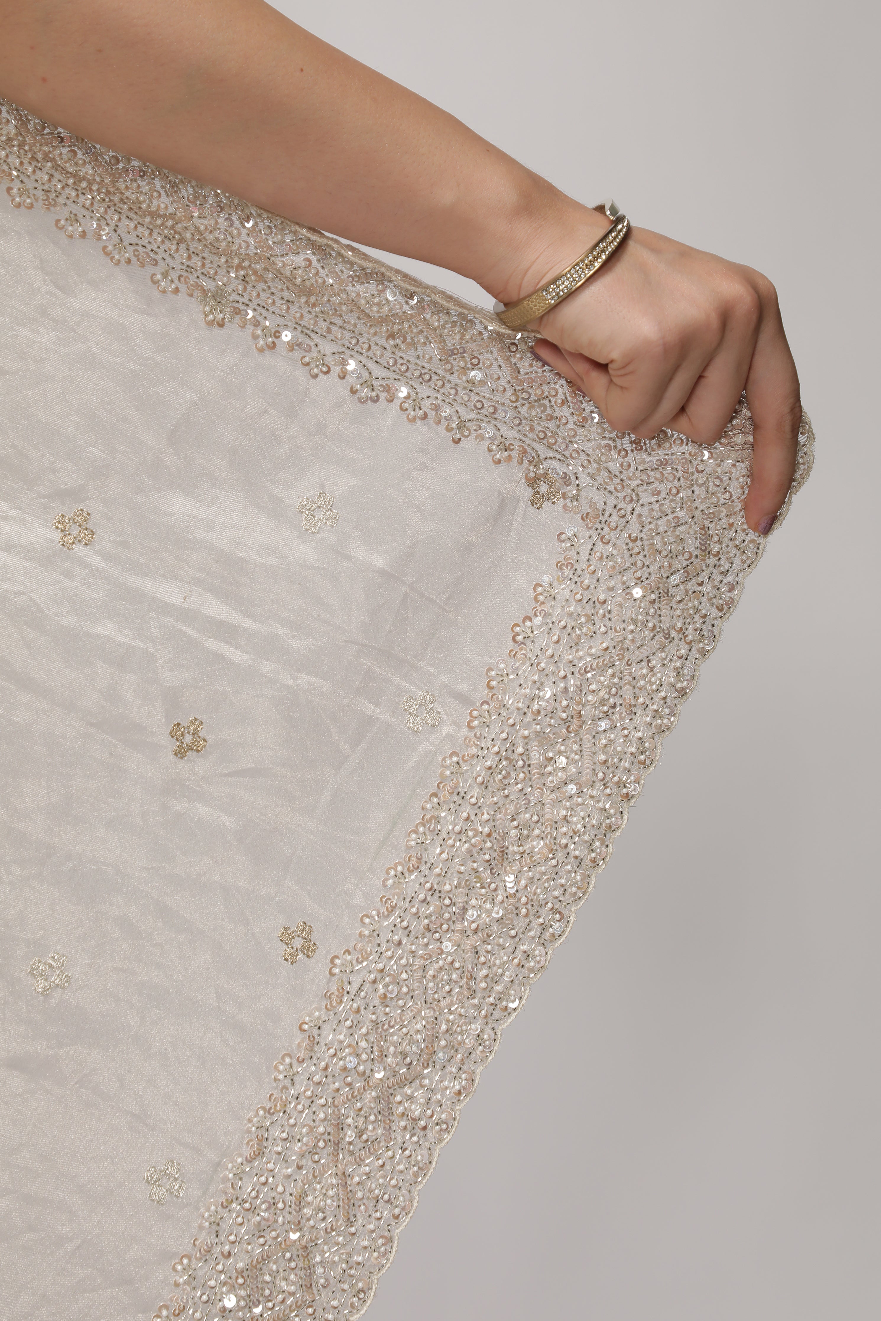 Silver Tissue Saree with All-Over Zari, Embroidery & Sequins Pearl Border