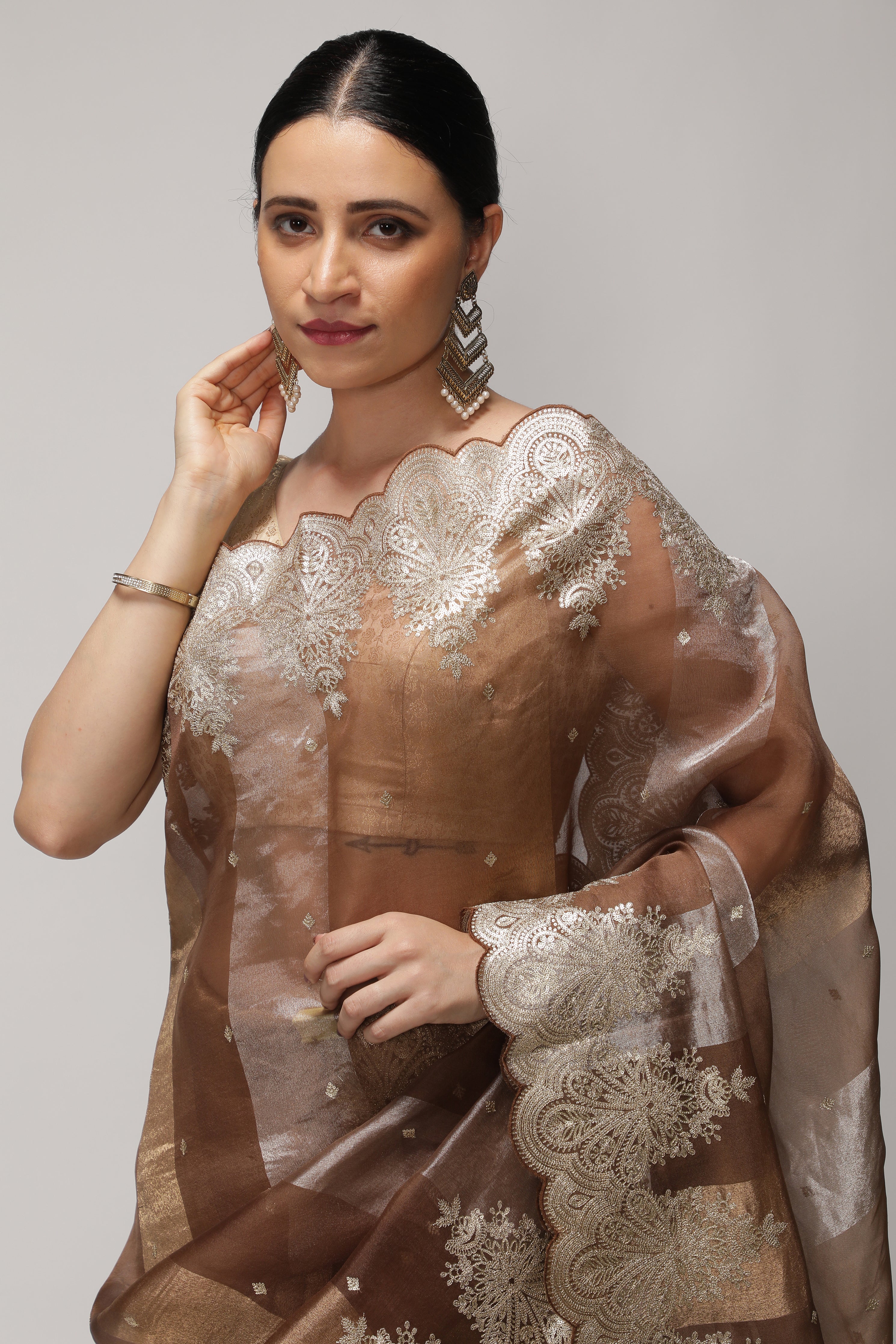 Brown Organza Saree with Zari Stripes, Sequins Highlights & Zari Embroidered Border