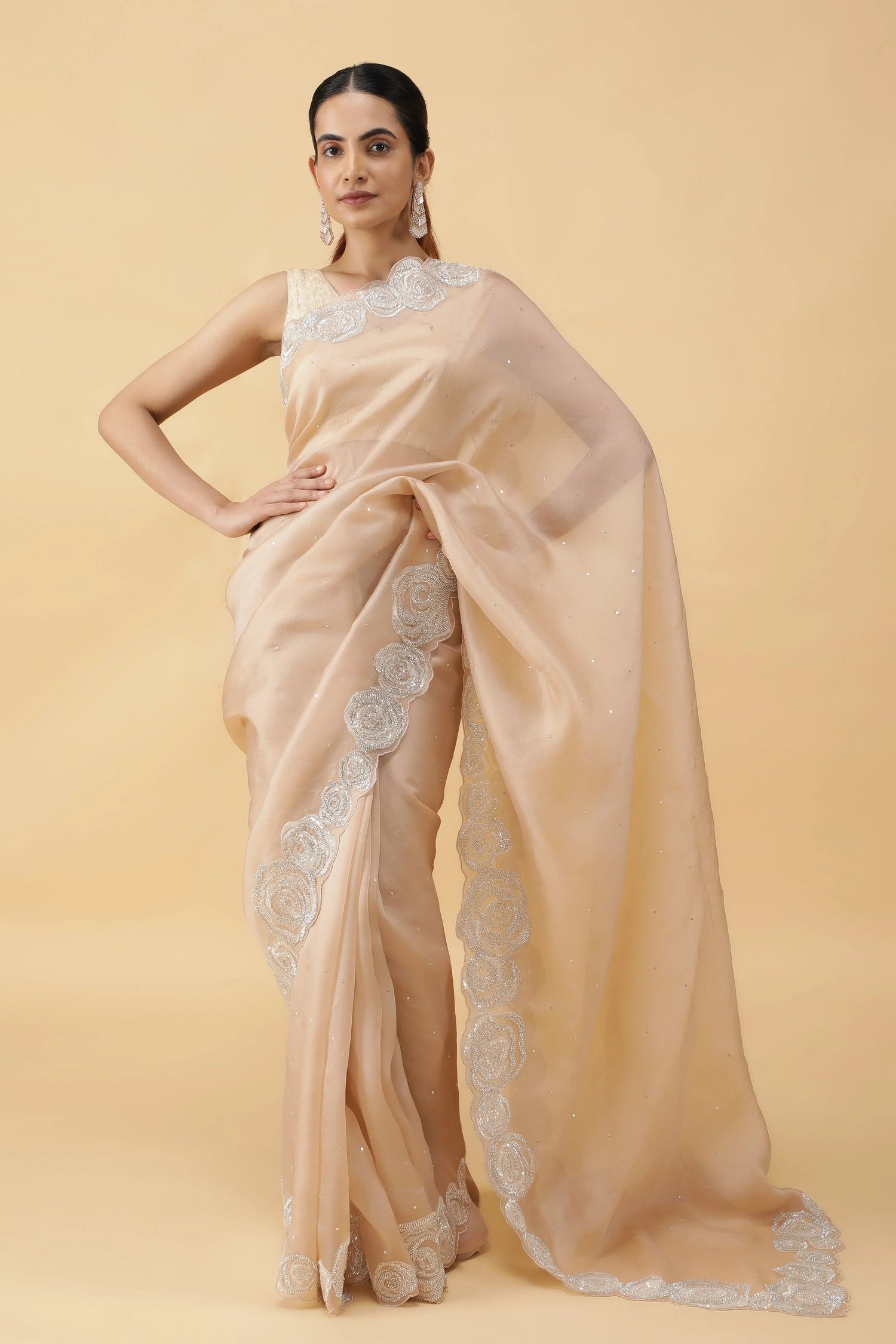 Organza Sarees for Weddings: How to Choose the Right Border & Blouse - Mokshaa