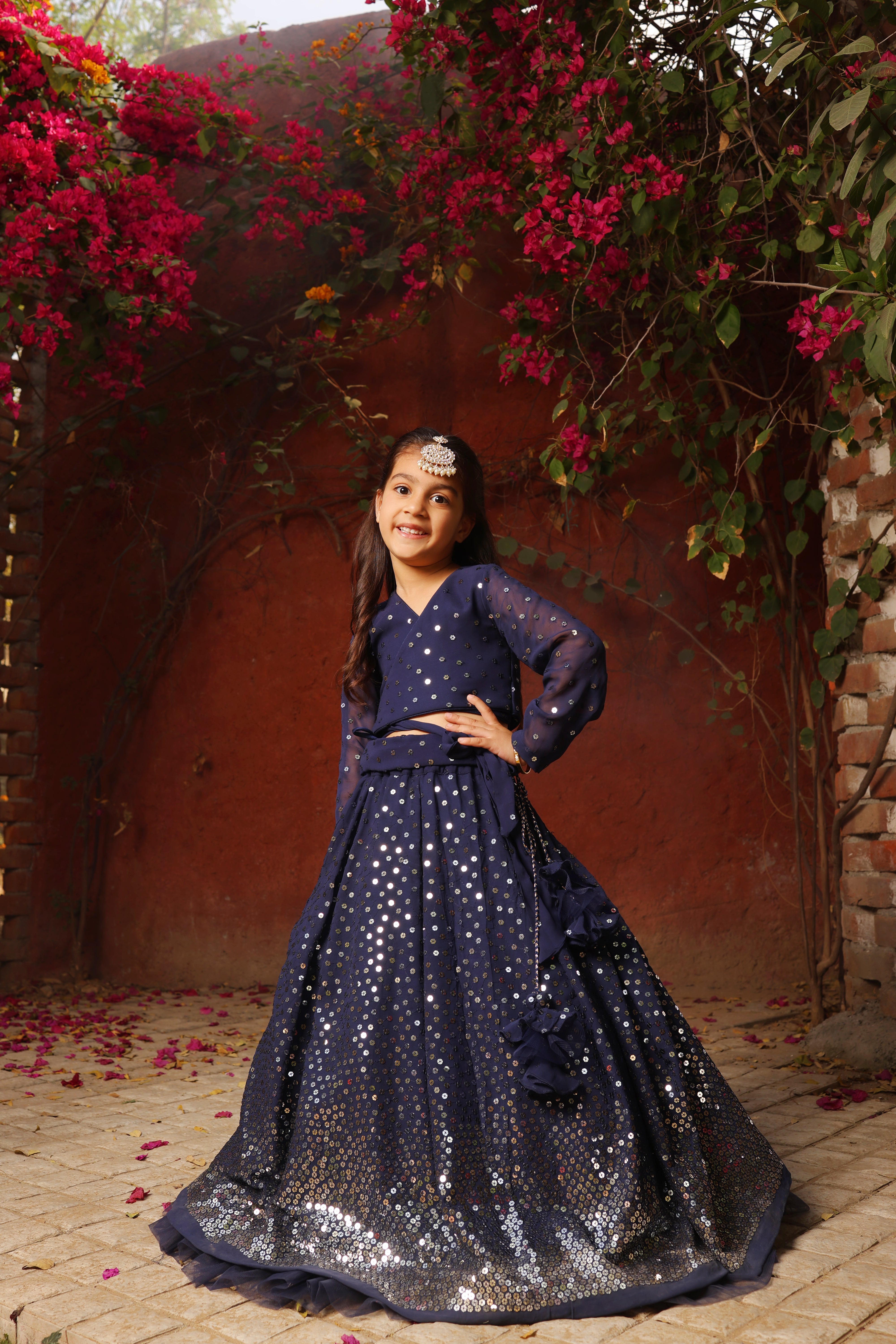 Navy Blue Embroidered Lehenga Choli Set