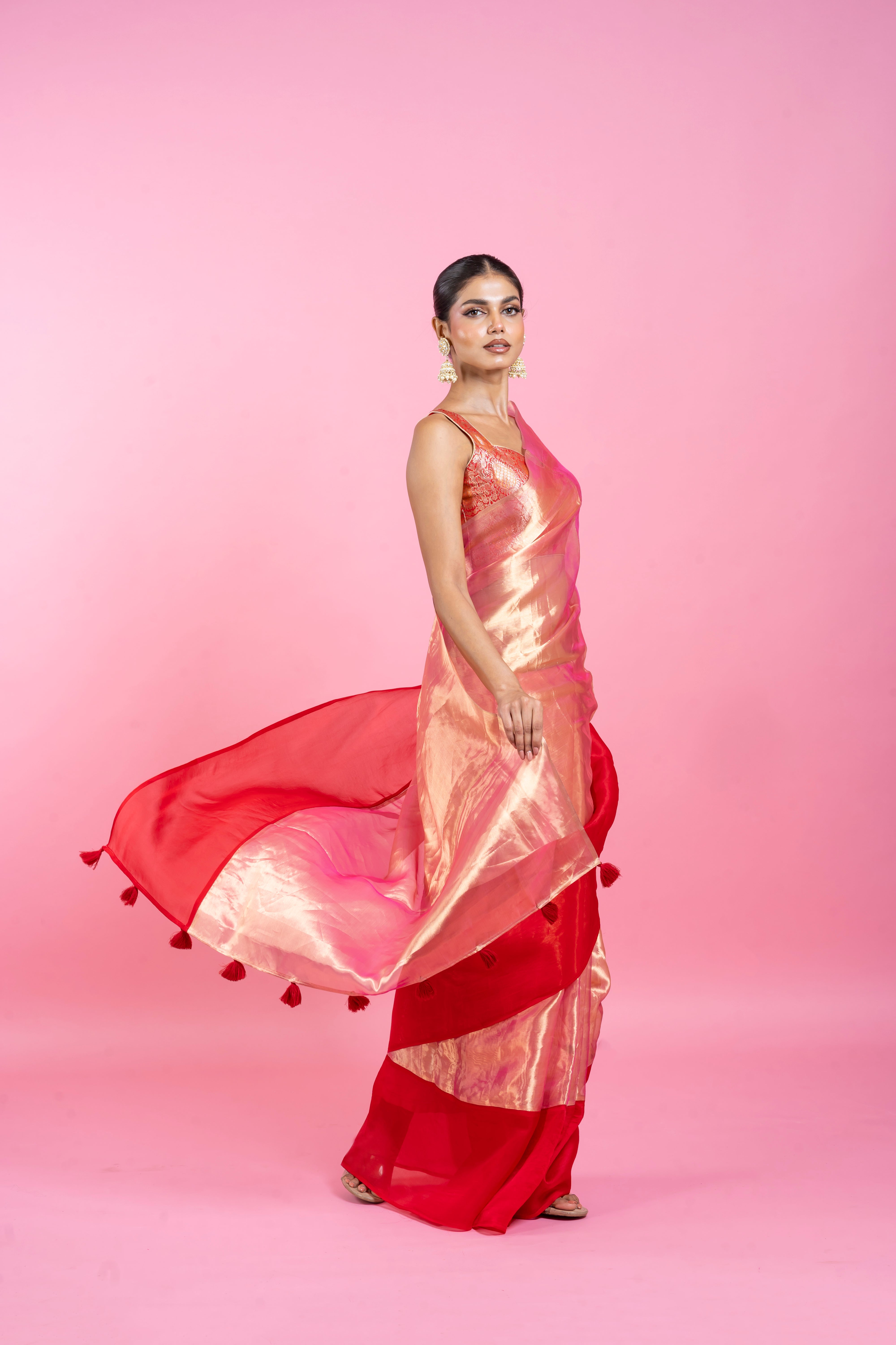 Red Tissue Organza Saree with Lustrous Ombre and Red Border  Mokshaa