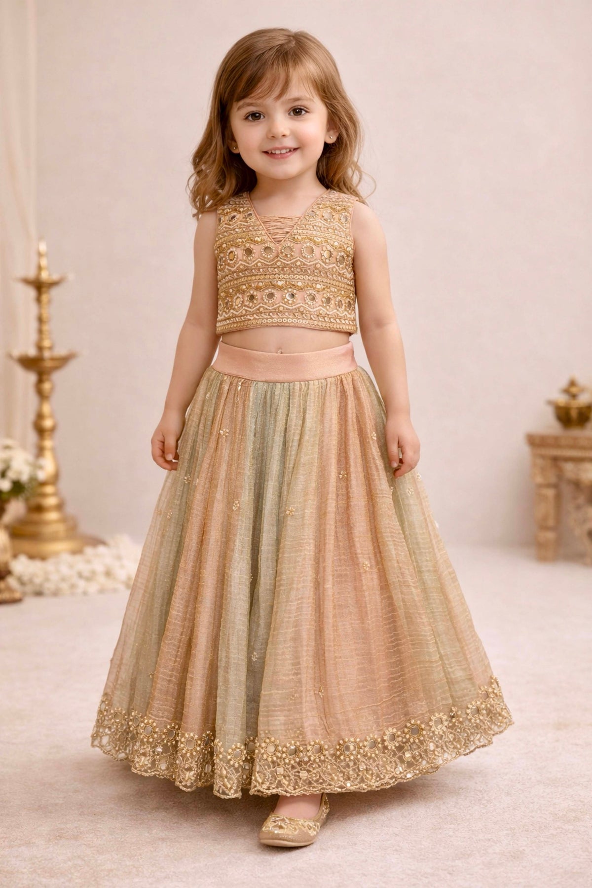 Pastel Shimmer Tissue Embroidered Lehenga Set
