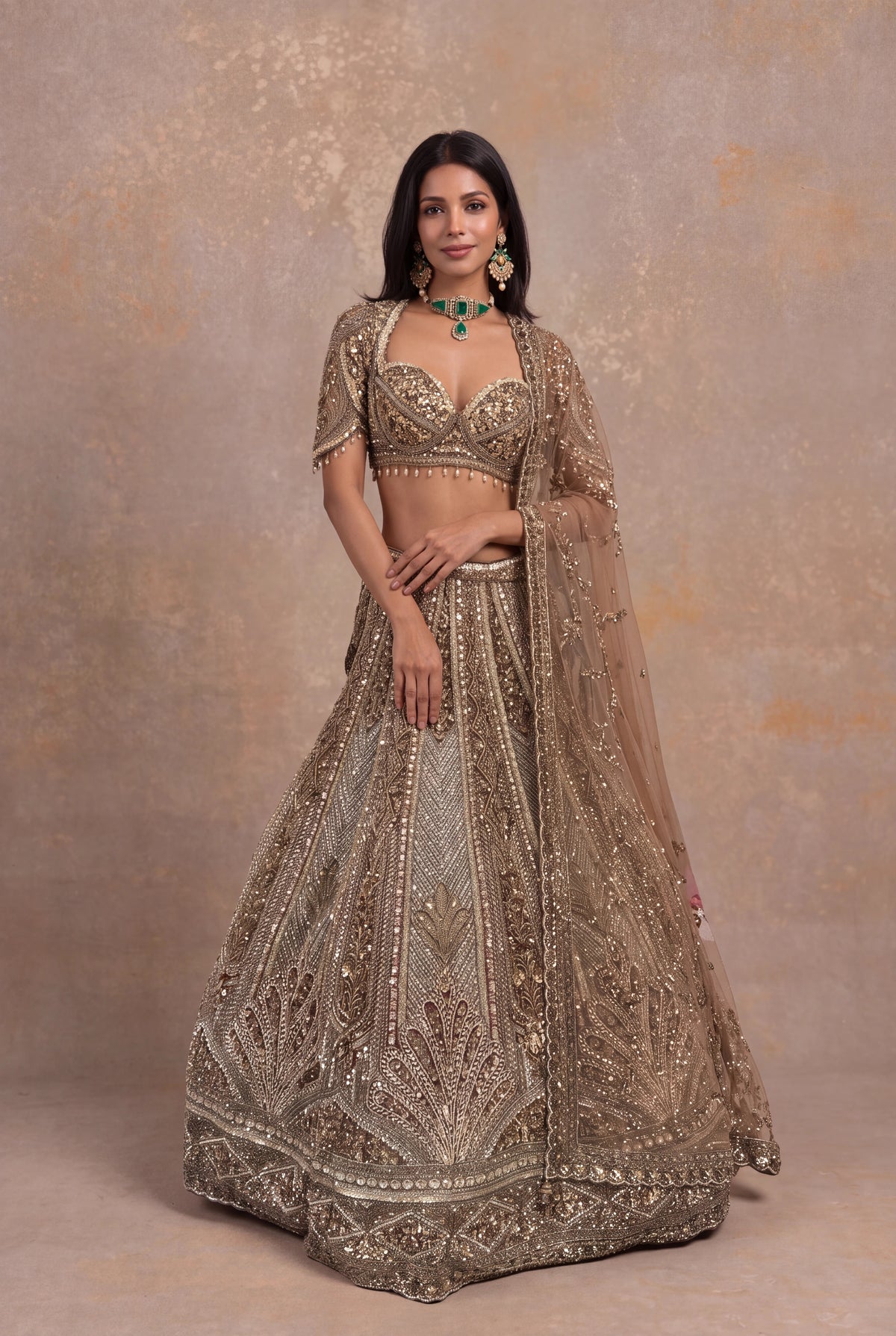 Honey Net Embellished Lehenga