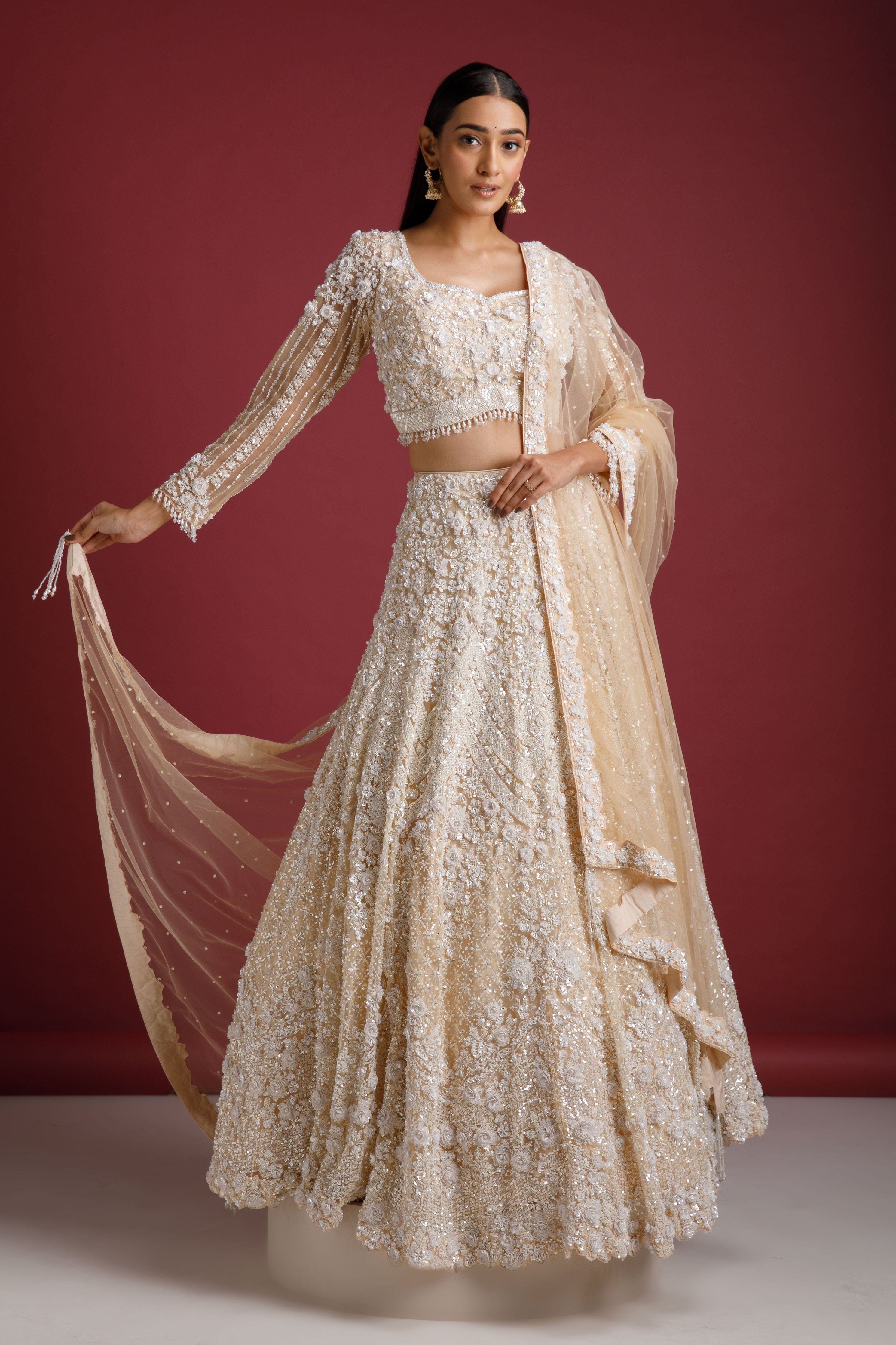 Beige Net Embroidered Lehenga Set - Mokshaa