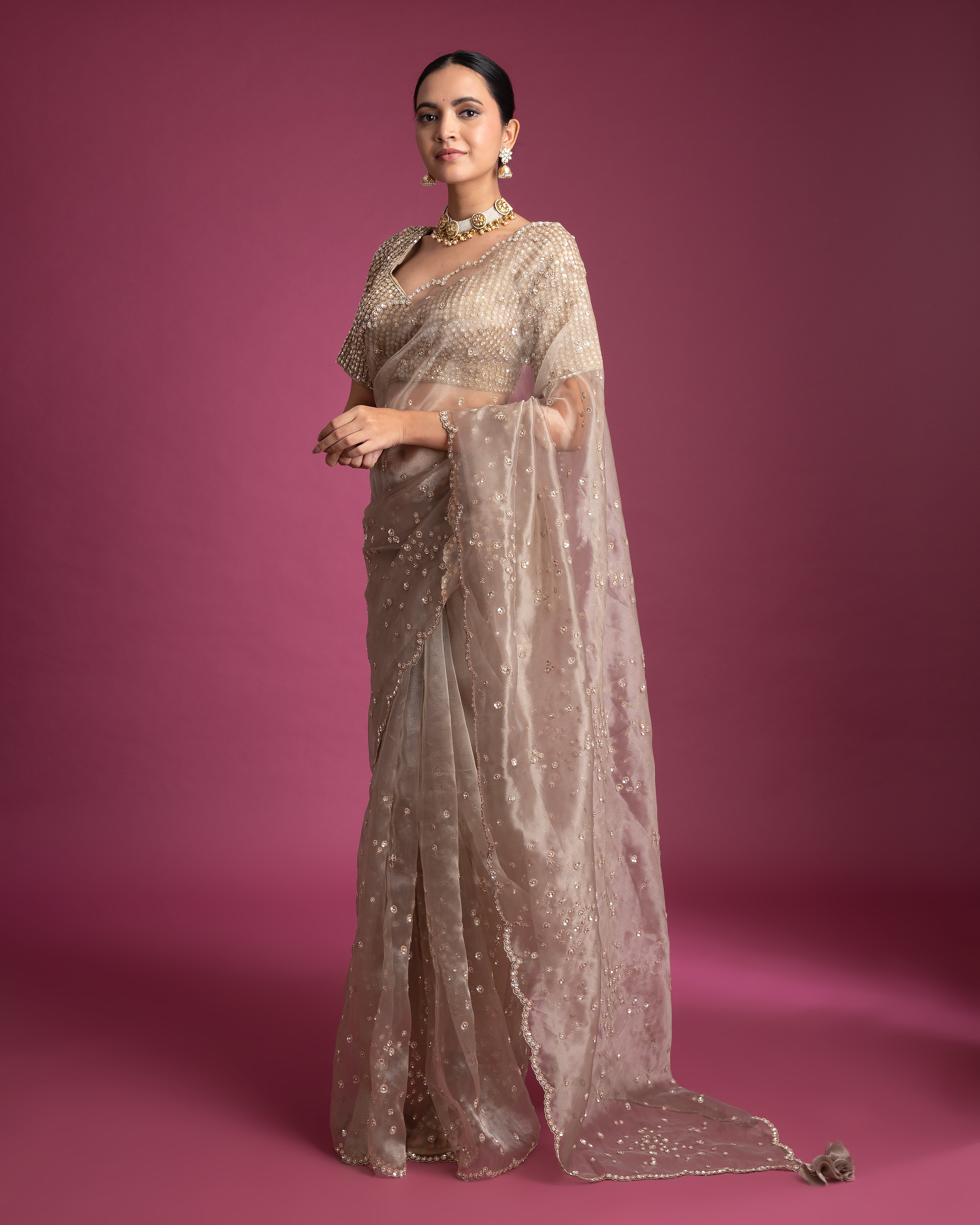 Champagne Gold Organza Tissue Saree with Scalloped Embroidery - Mokshaa