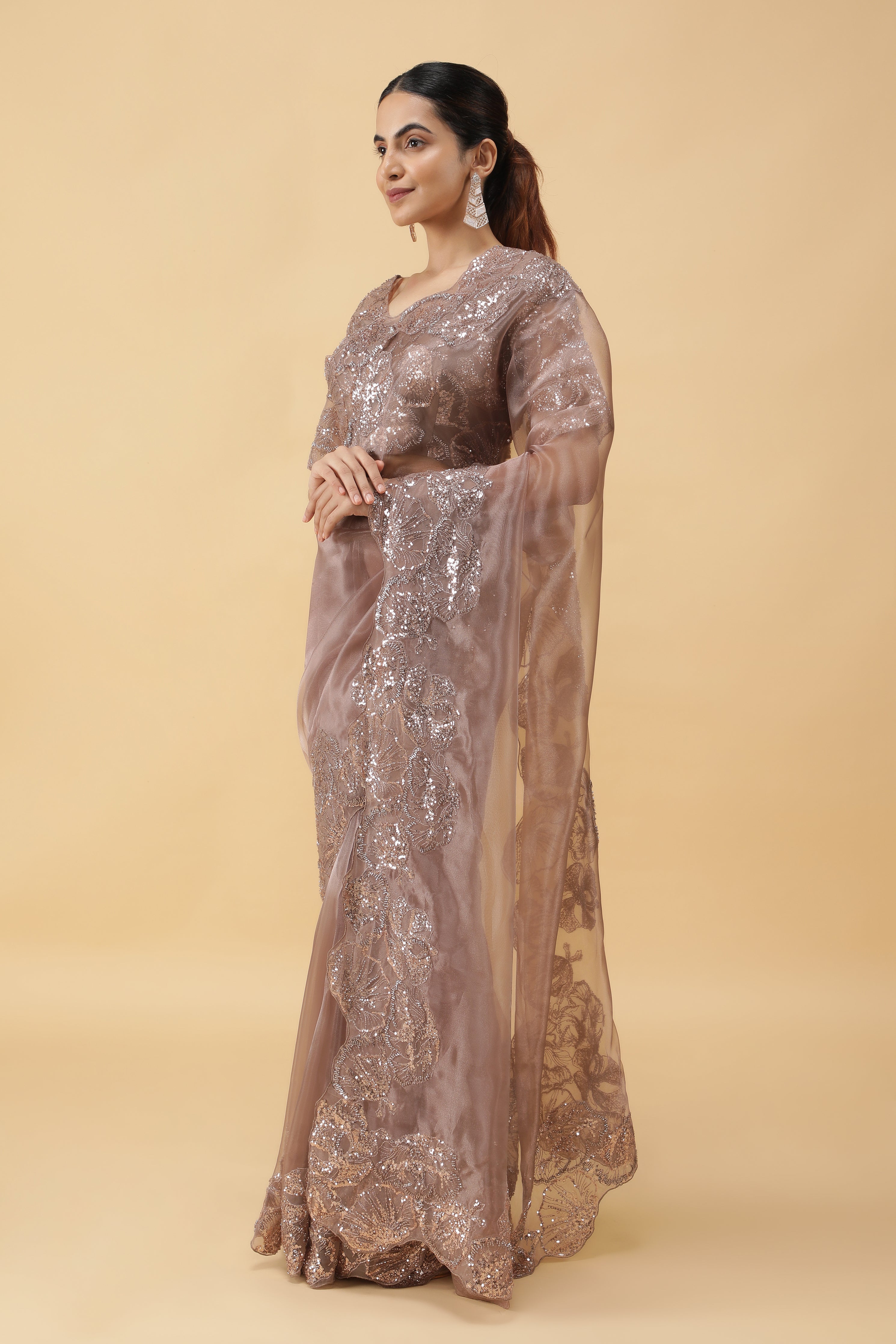 Light Brown Glass Tissue Saree with Sequin Beadwork Border