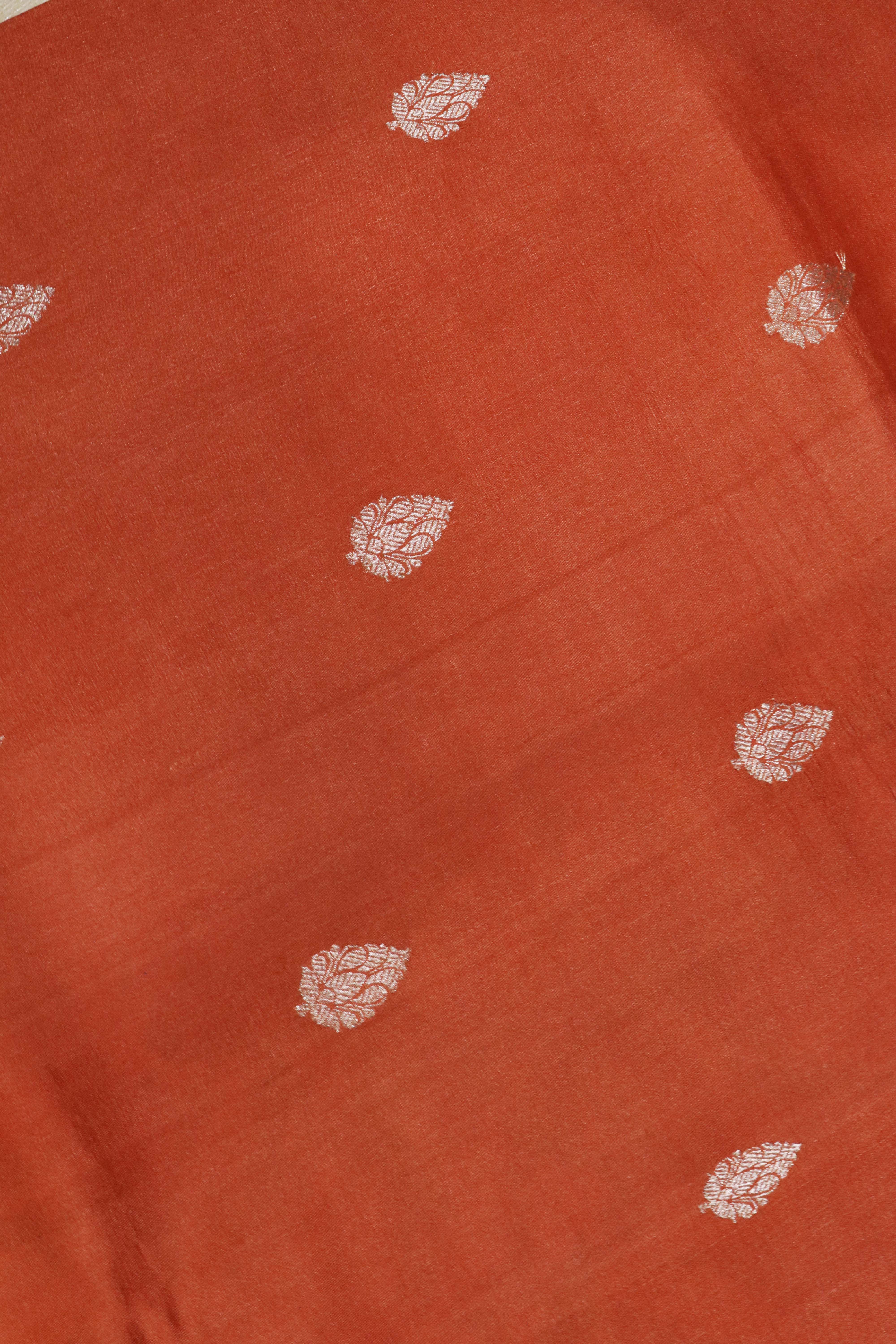 Orange Tussar Silk Saree with Silver Zari Motifs & Printed Border