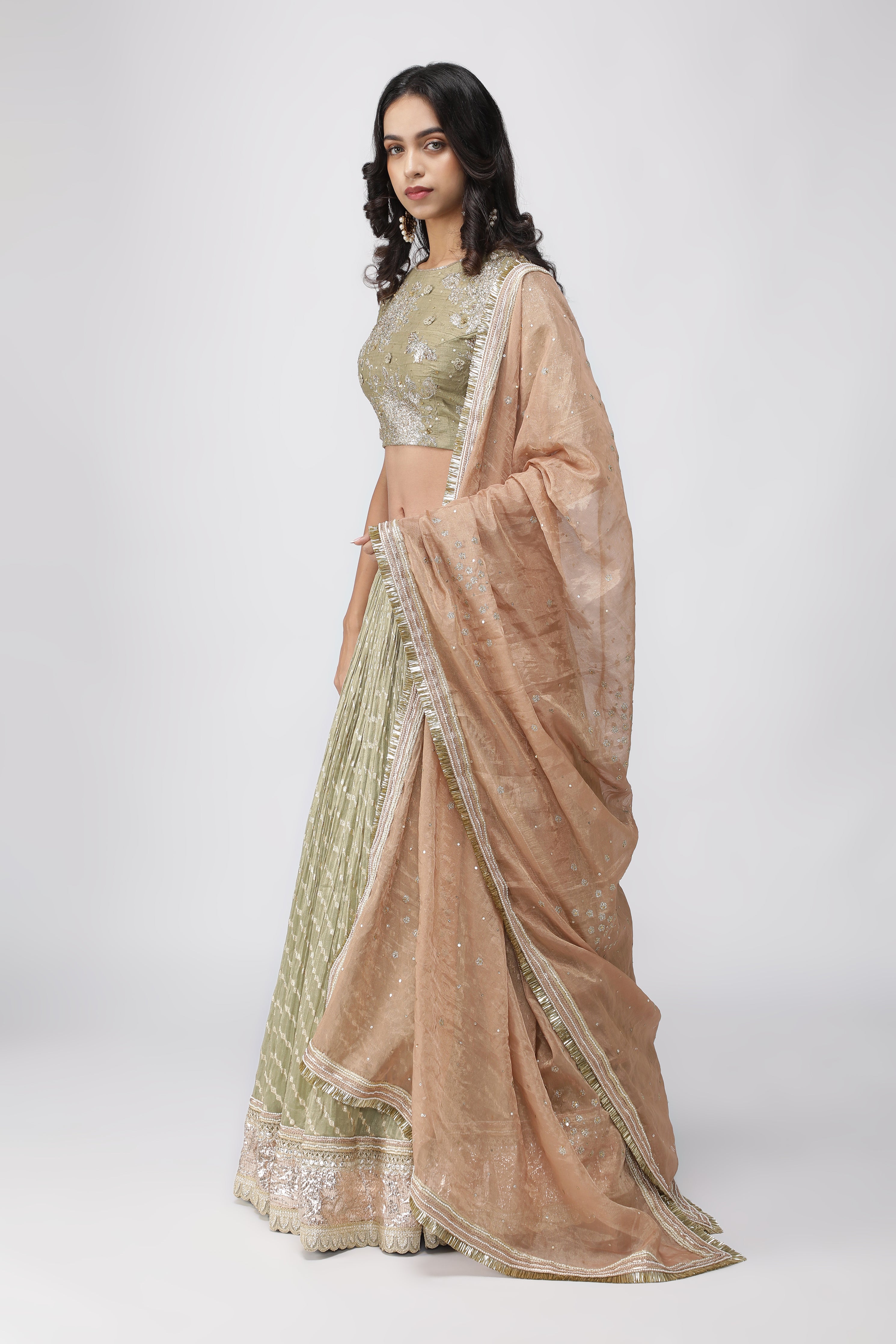 Green Chanderi Tissue Lehenga with Zari and Sequins Embroidery