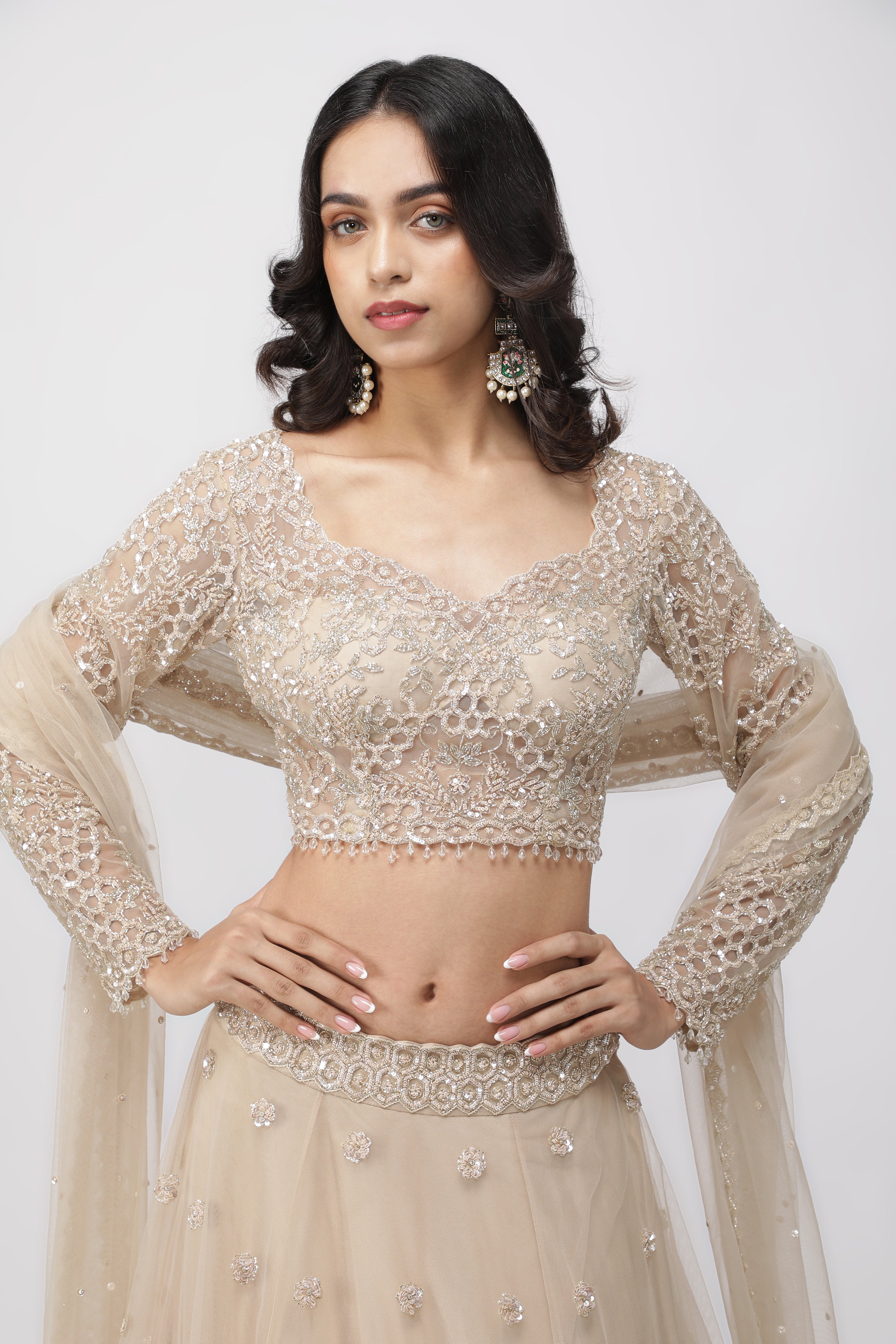 Light Beige Net Lehenga Set with Sequin and Cutdana Embroidery