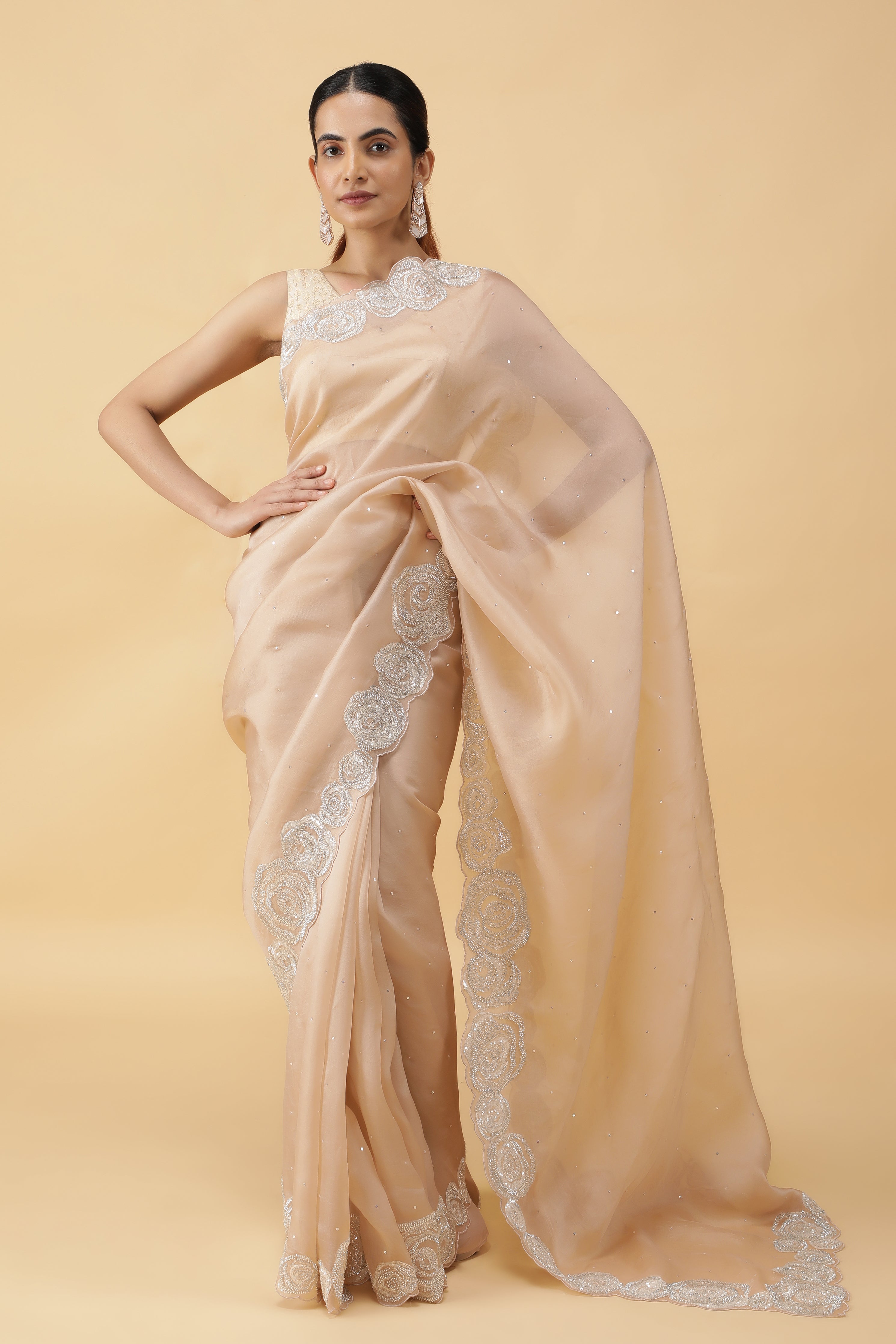 Ivory Silk Organza Saree with Sequins & Bead Border
