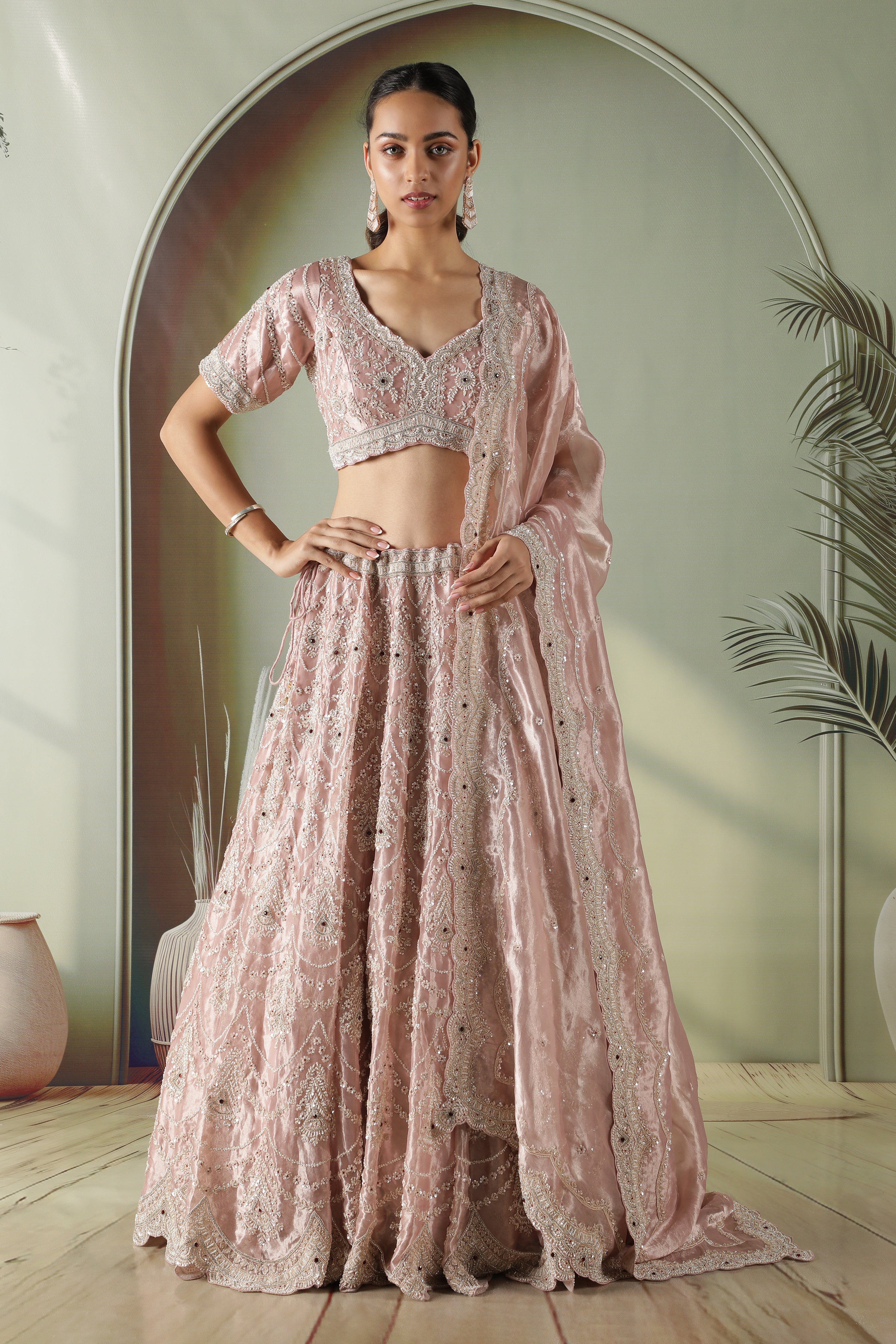 Blush Pink Tissue Organza Lehenga Set