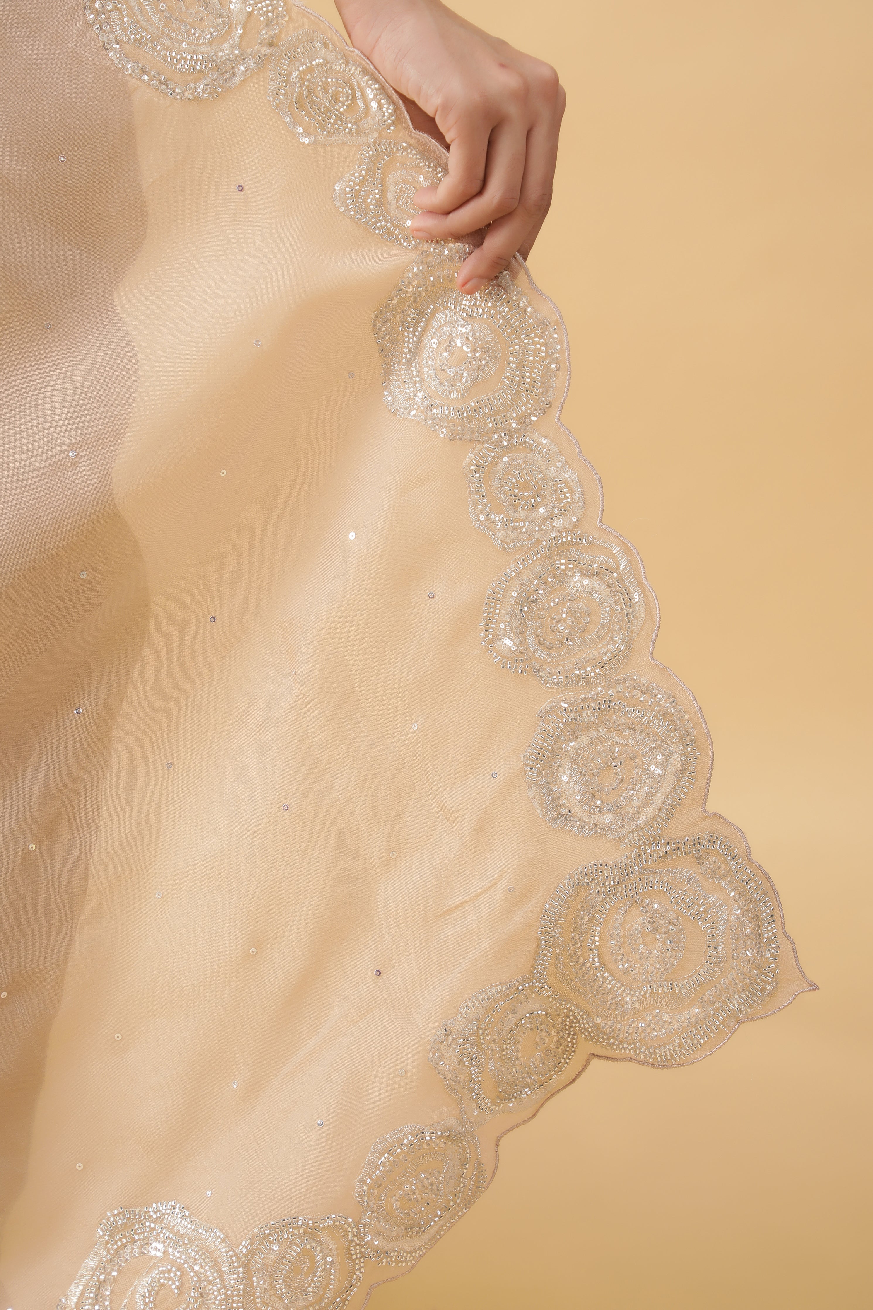 Ivory Silk Organza Saree with Sequins & Bead Border
