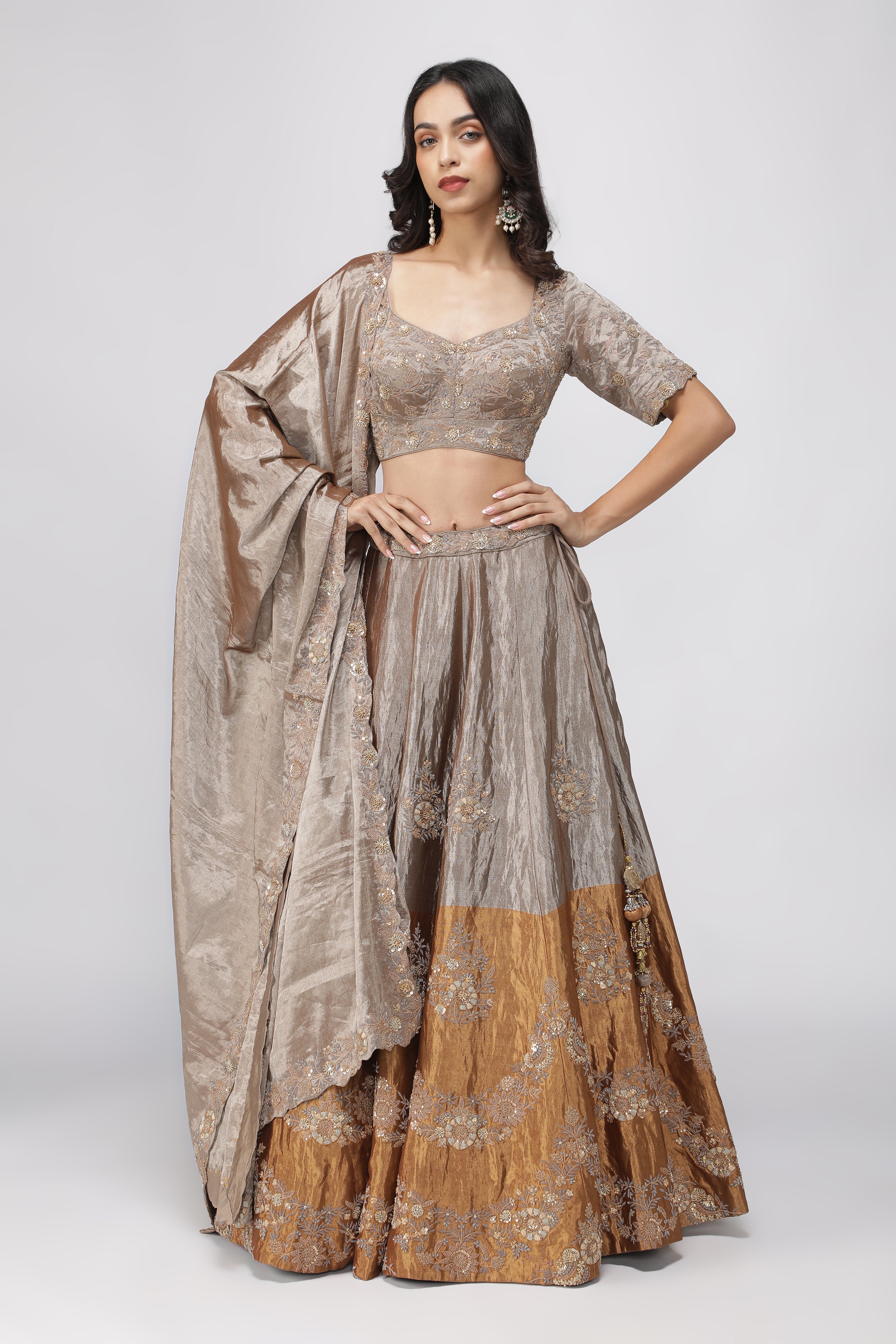 Silver-Gold Tissue Lehenga with Embroidered Blouse