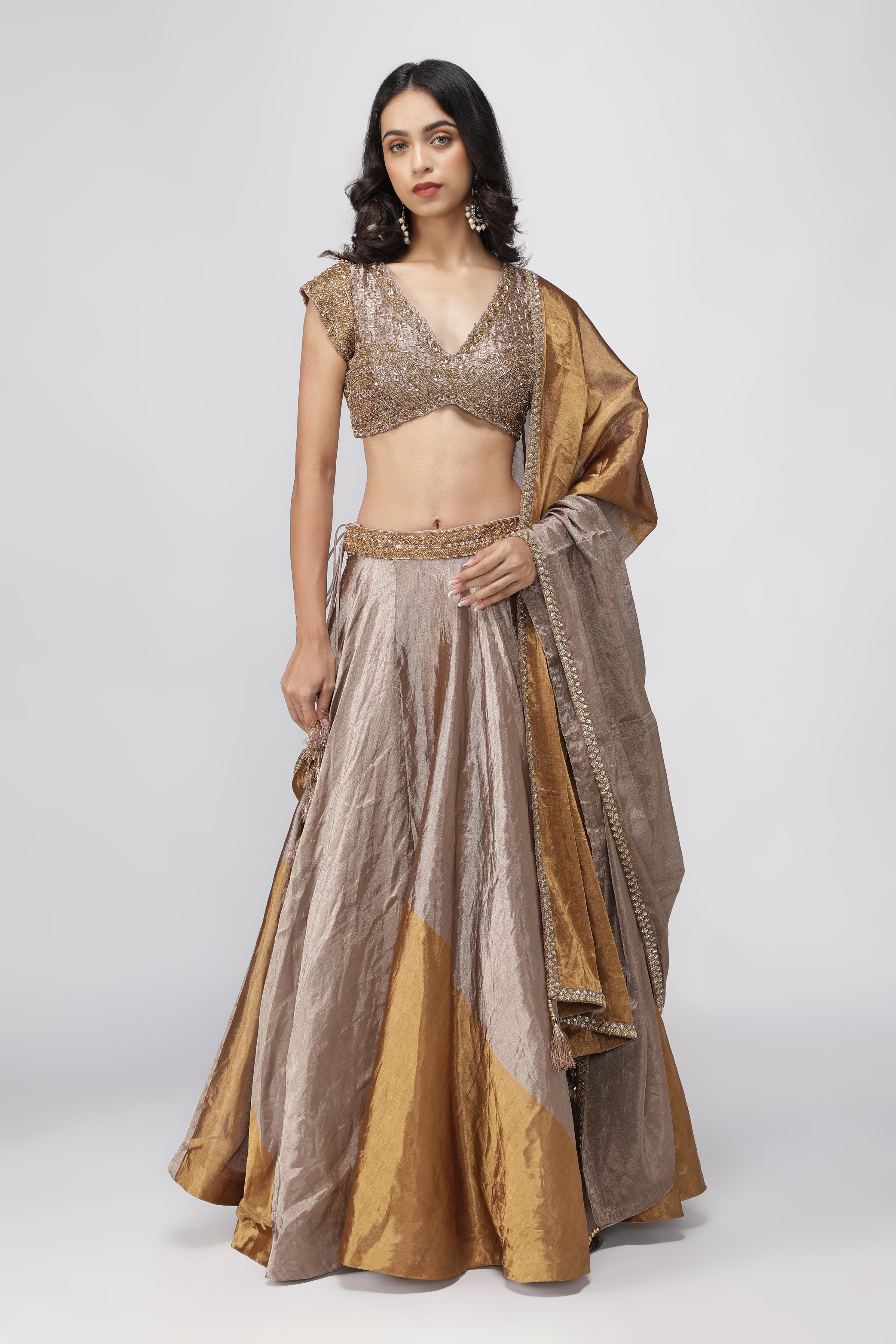 Gold & Silver Tissue Lehenga with Embroidered Blouse