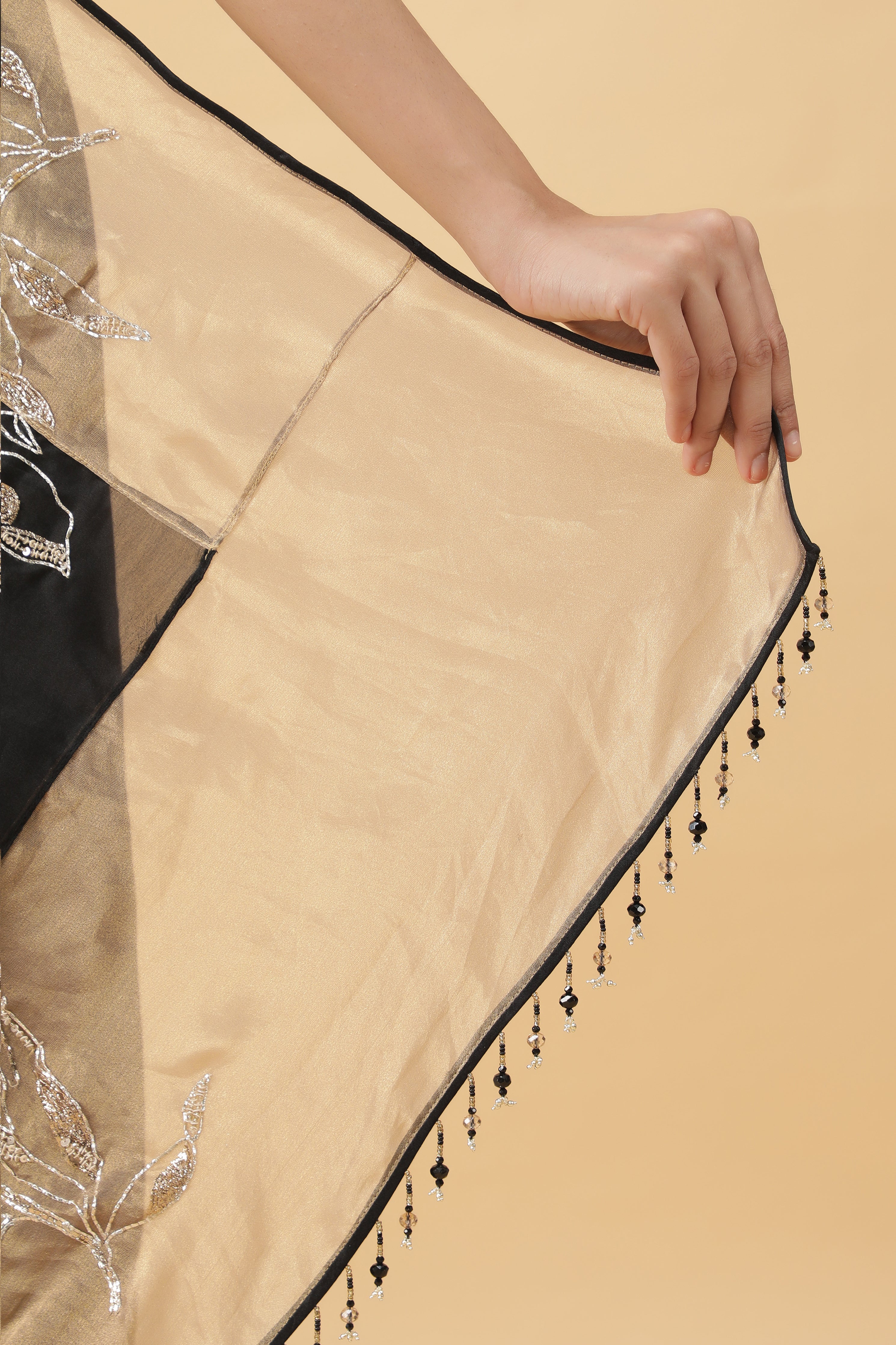 Black Organza Saree with Gold Tissue Border & Sequin Zari Motifs