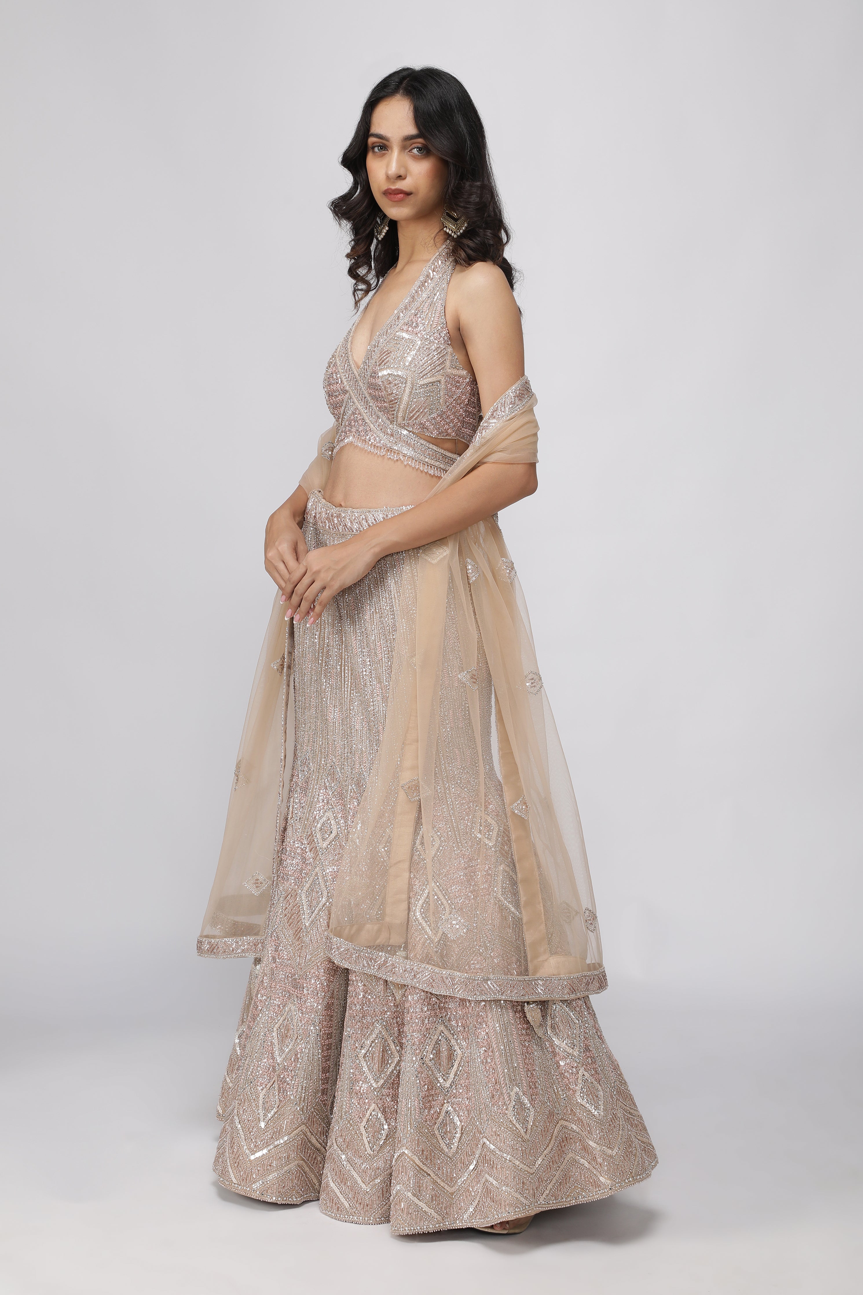 Champagne Net Mermaid Cut Lehenga set
