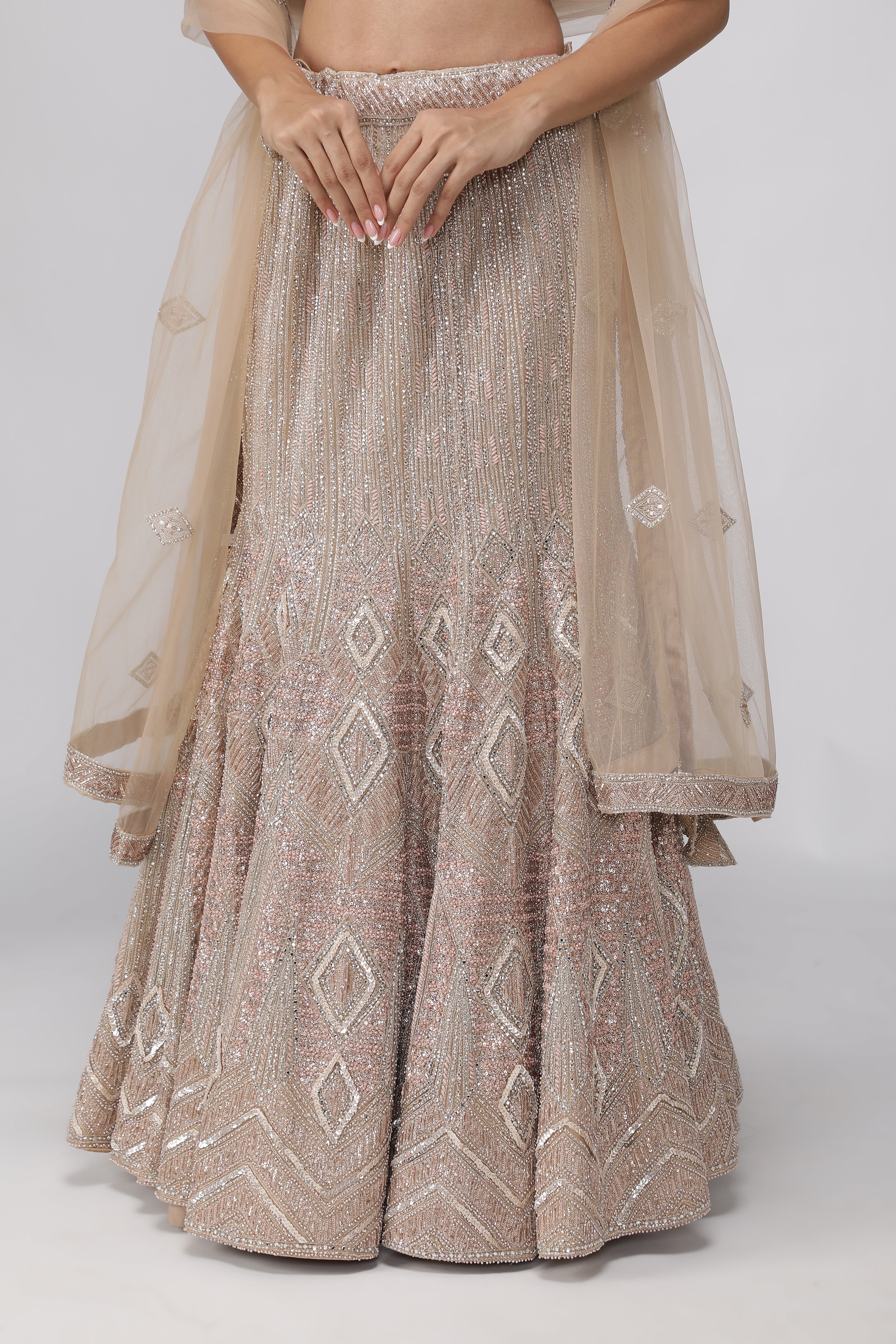 Champagne Net Mermaid Cut Lehenga set