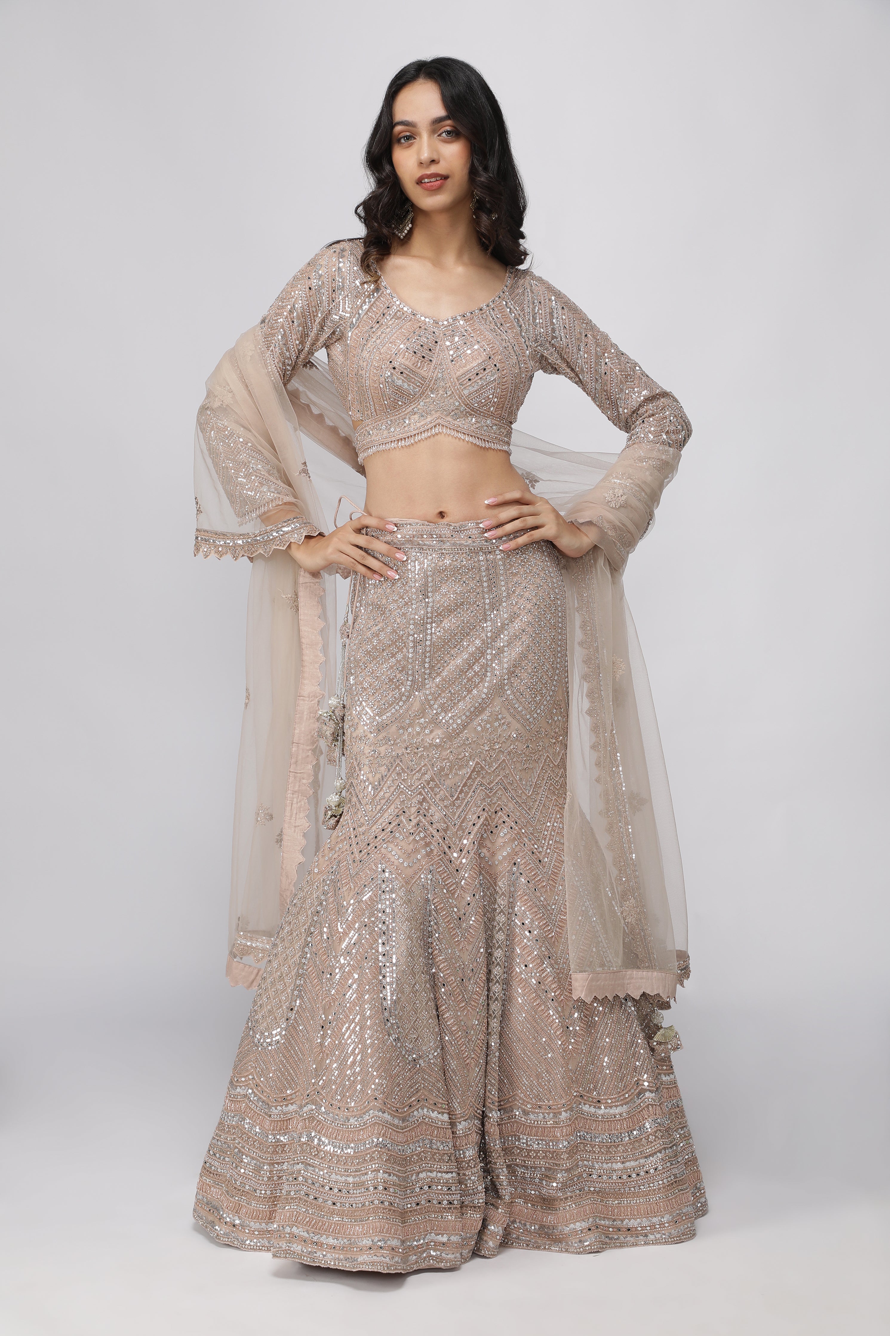 Embellished Champagne Beige Mermaid Lehenga set