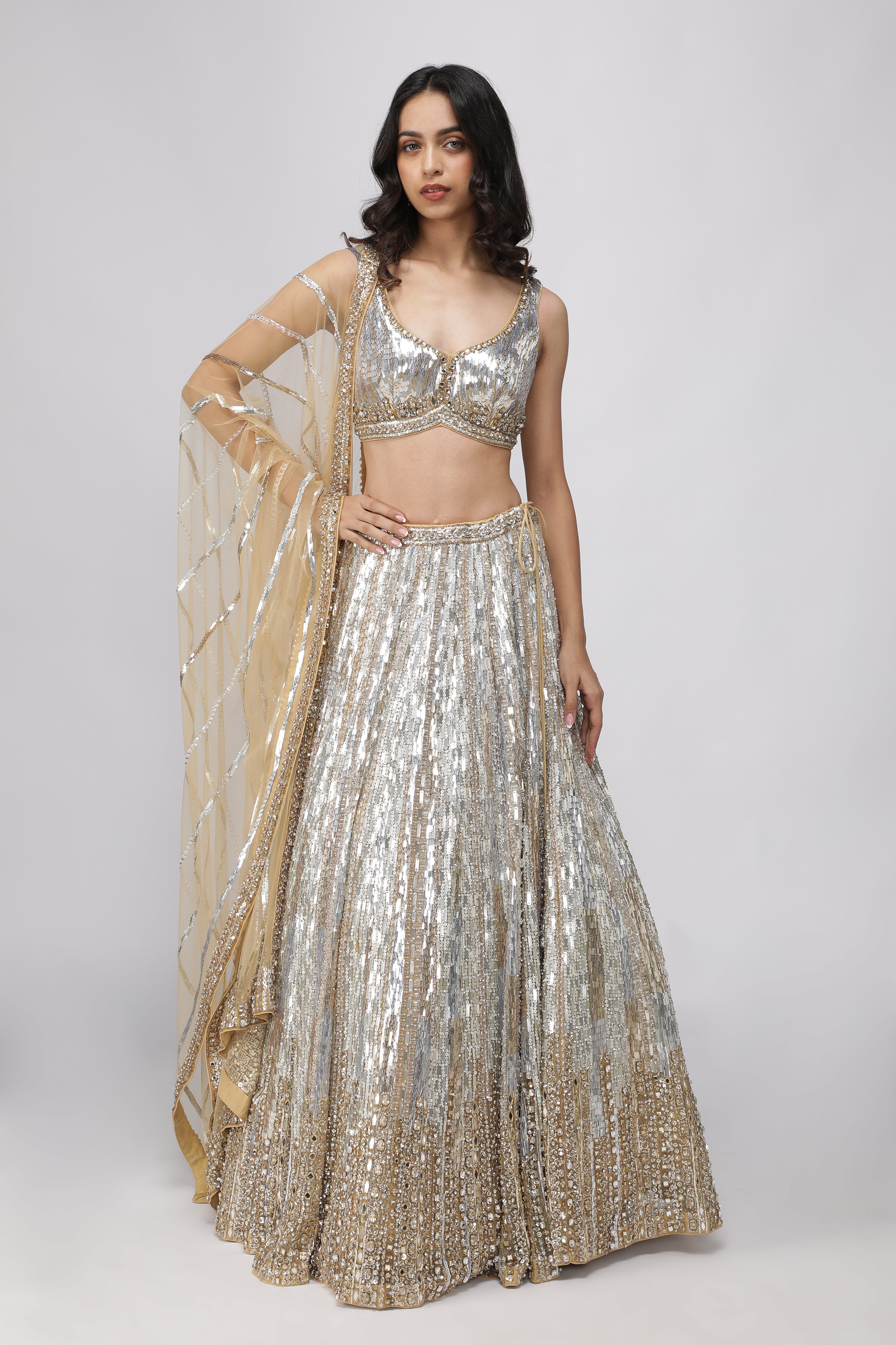 Gold Net Silver & Gold Embroidered Lehenga Set