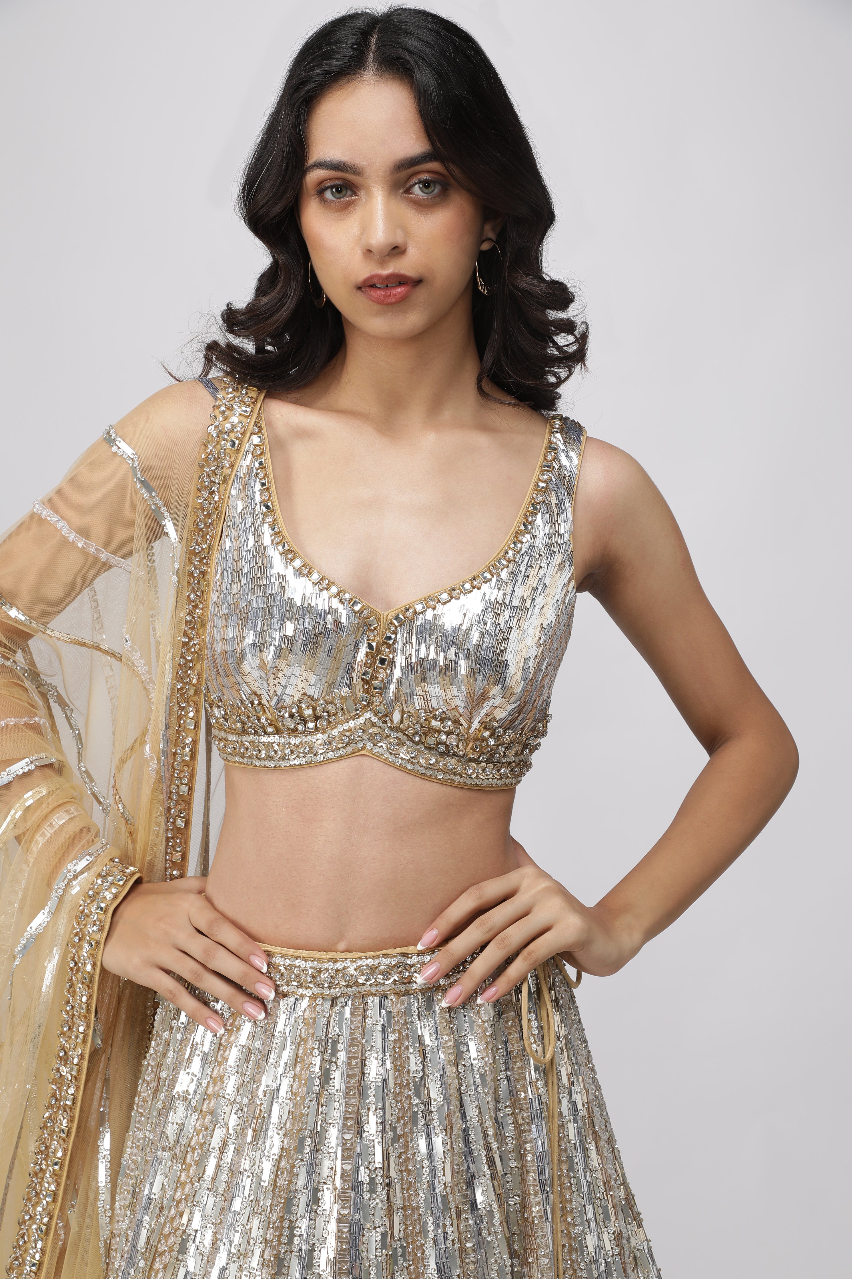 Gold Net Silver & Gold Embroidered Lehenga Set