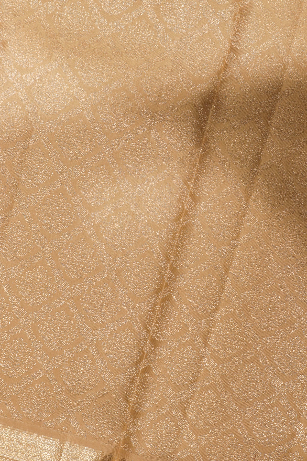 Beige Kanchivaram Silk Saree