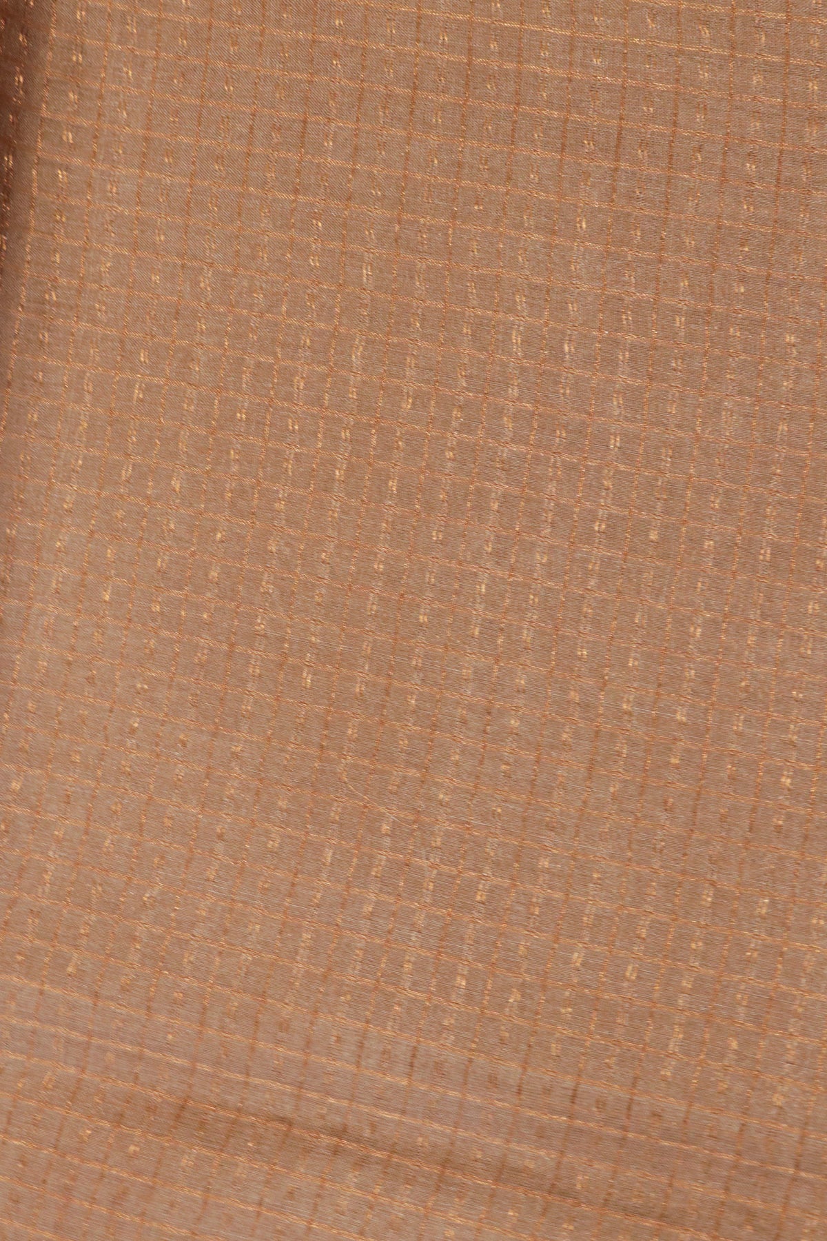 Beige Soft Tussar Silk Saree - Mokshaa