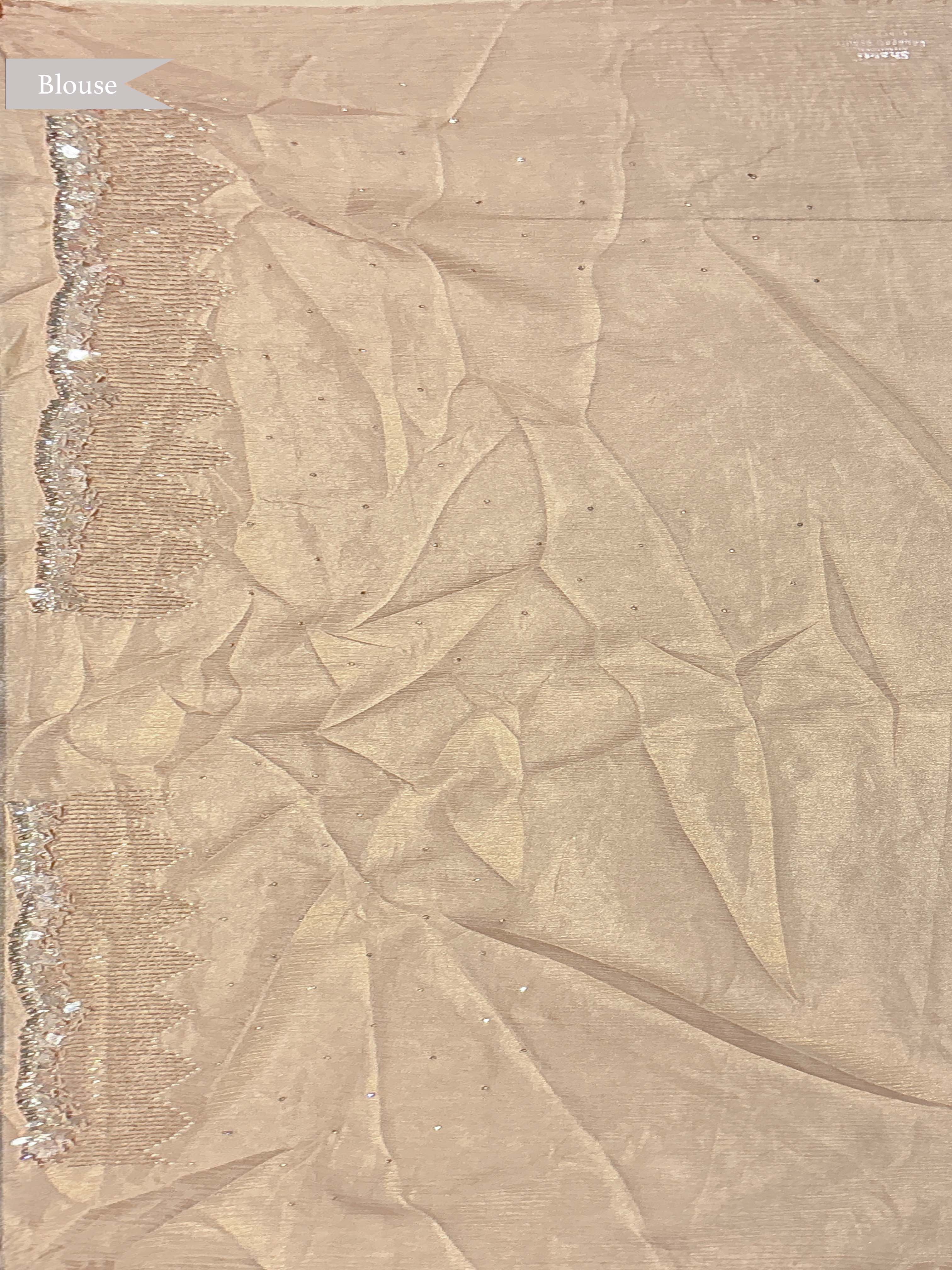 Peach Crush Tissue Saree