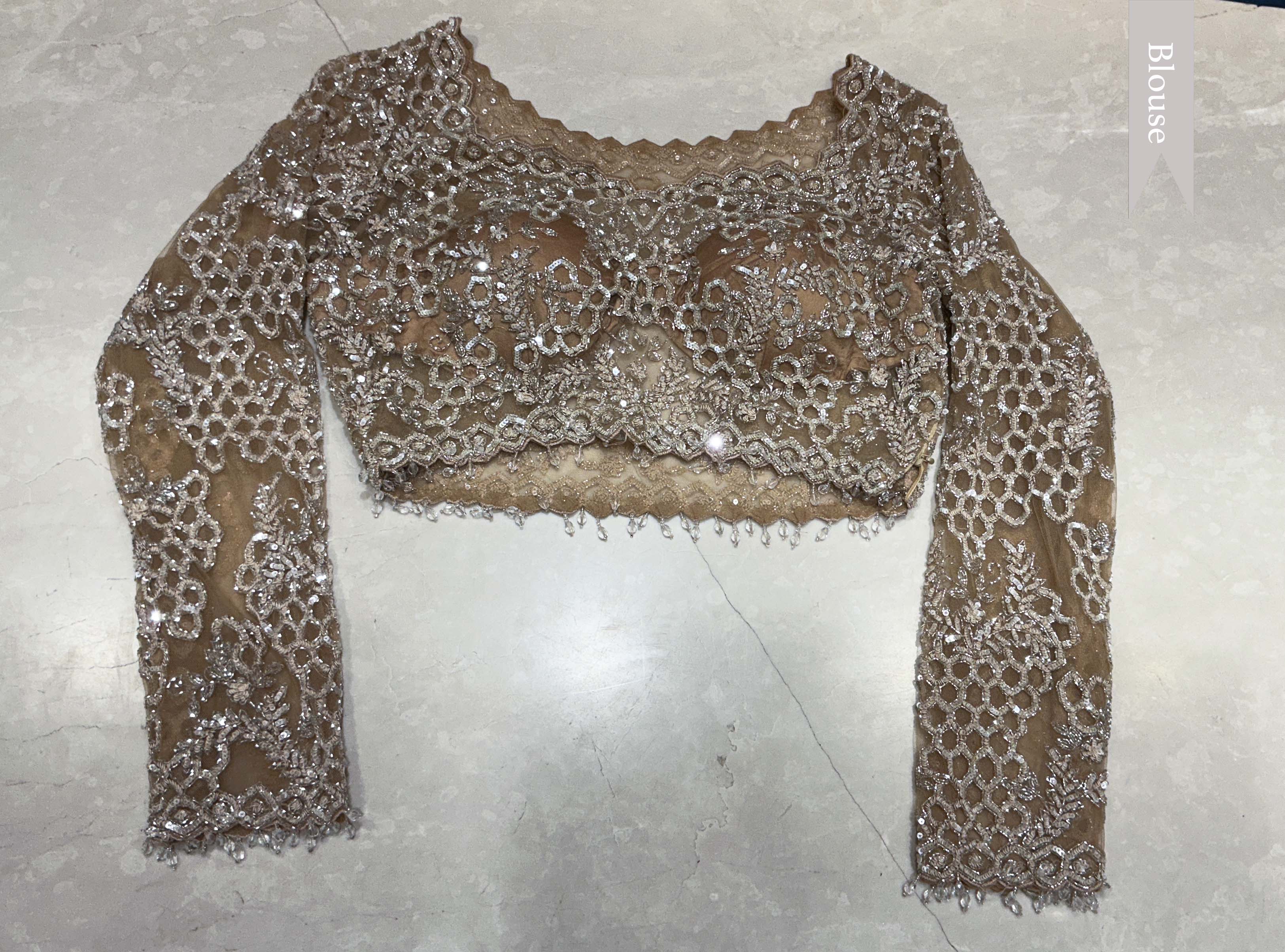 Champagne Beige Net Designer Saree