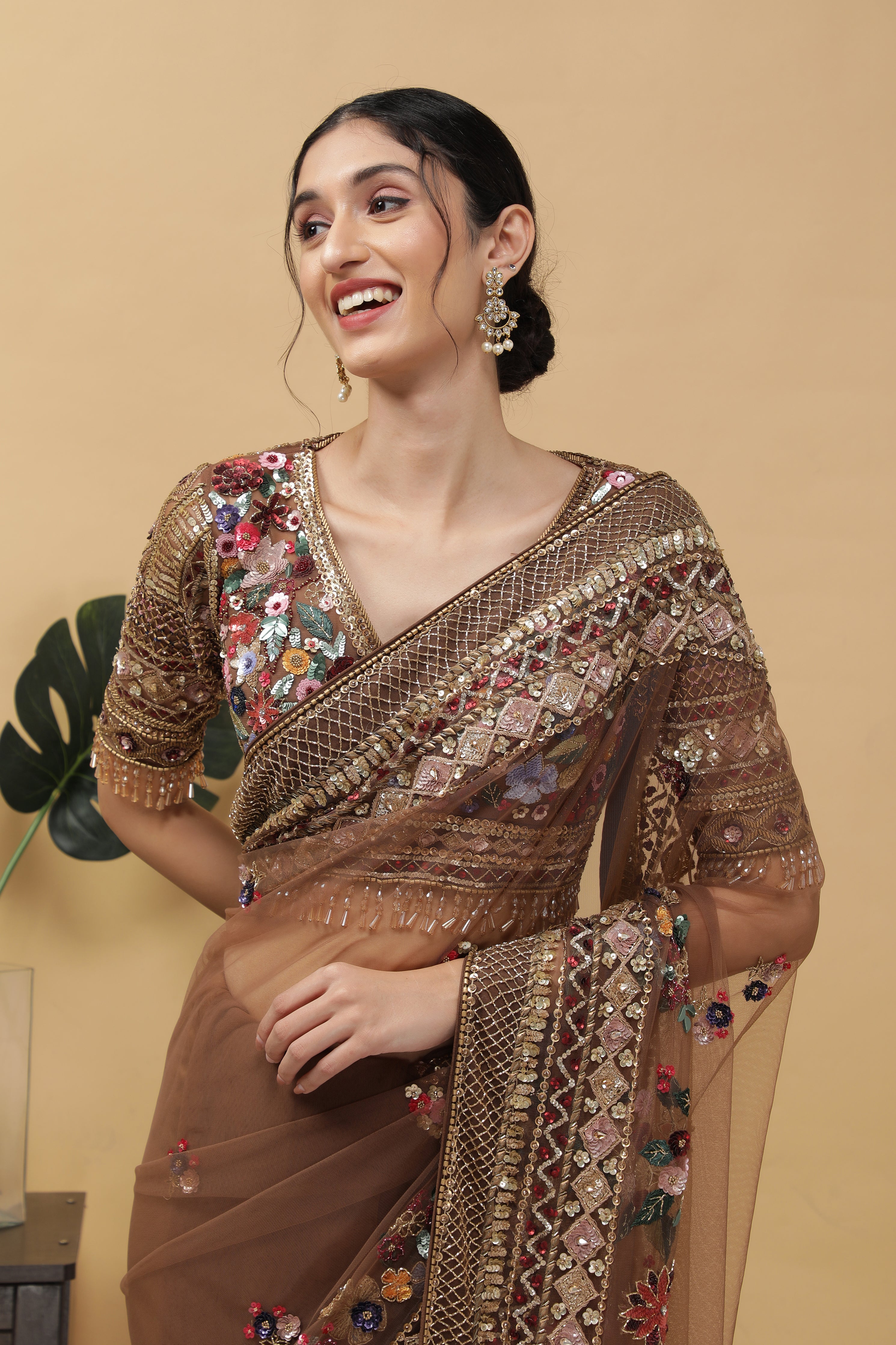 Dark Brown Net Saree