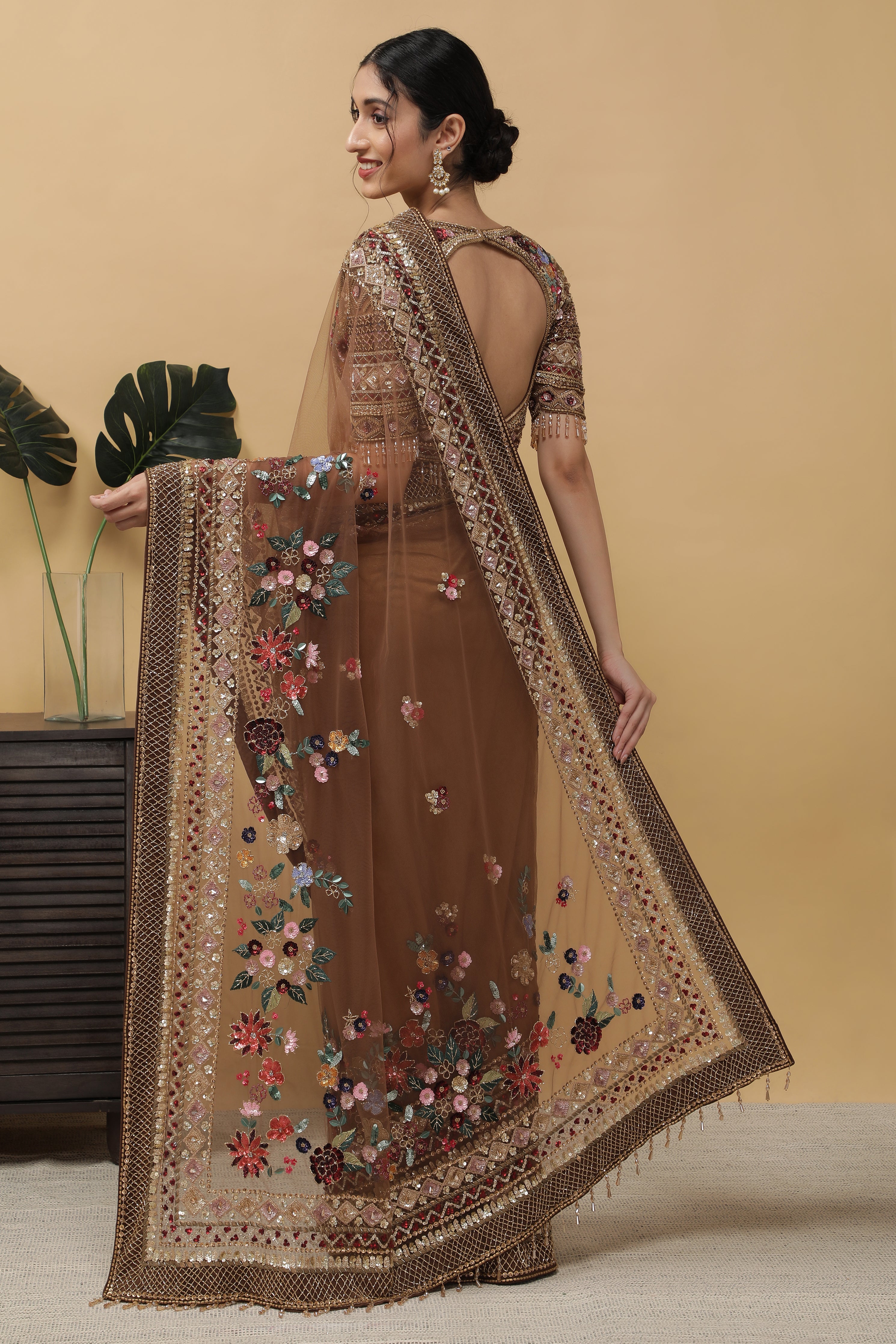 Dark Brown Net Saree