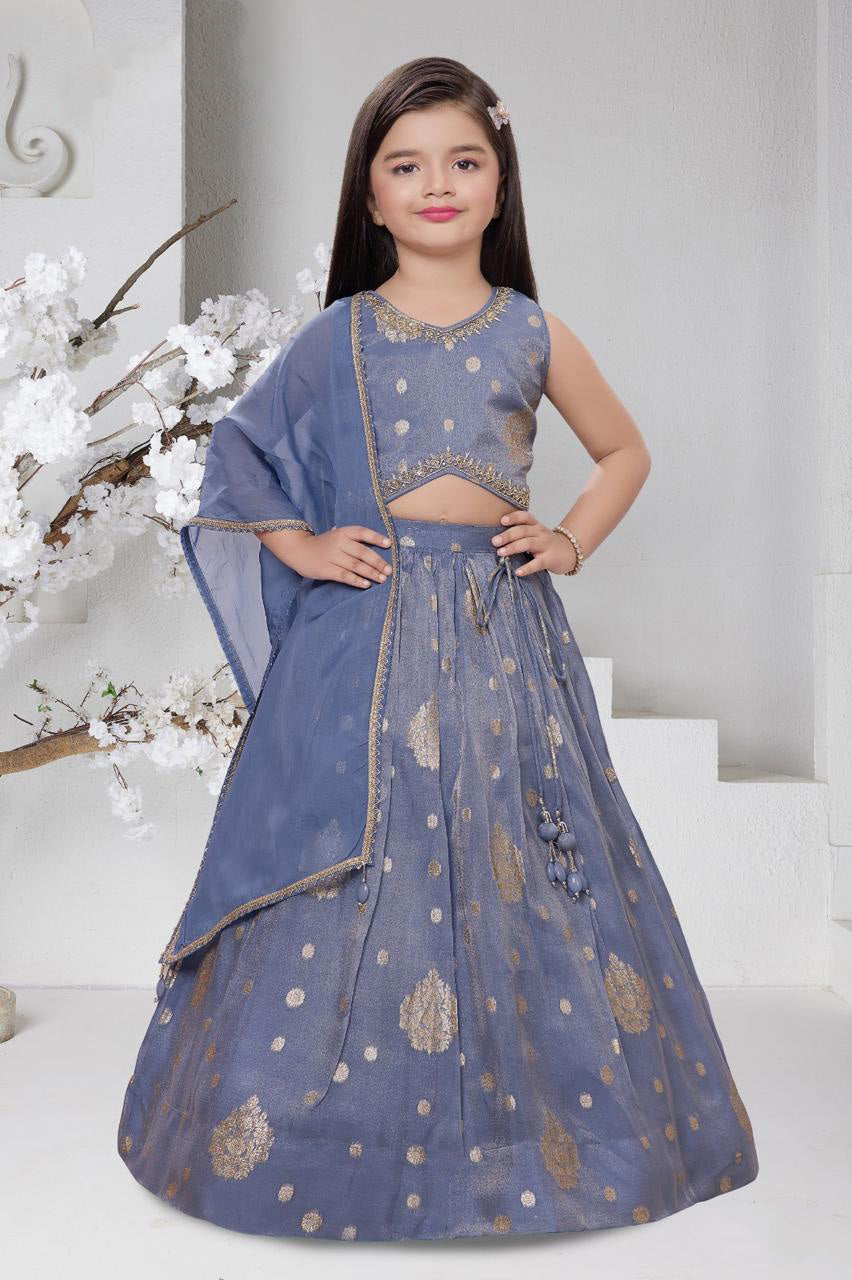 Slate Blue Tissue Crop Choli & Lehenga Set for Girls