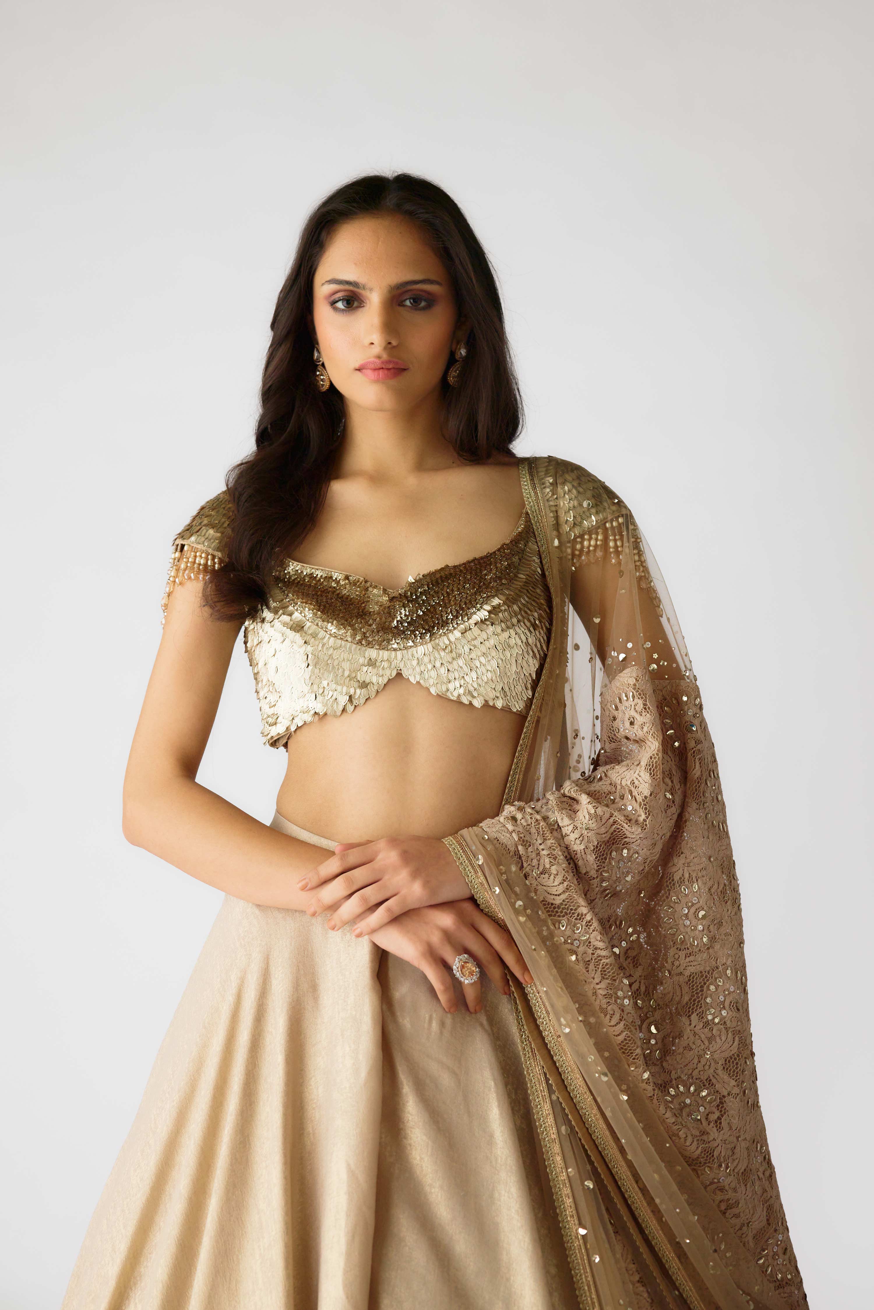 The Celestial Glow Lehenga  Mokshaa