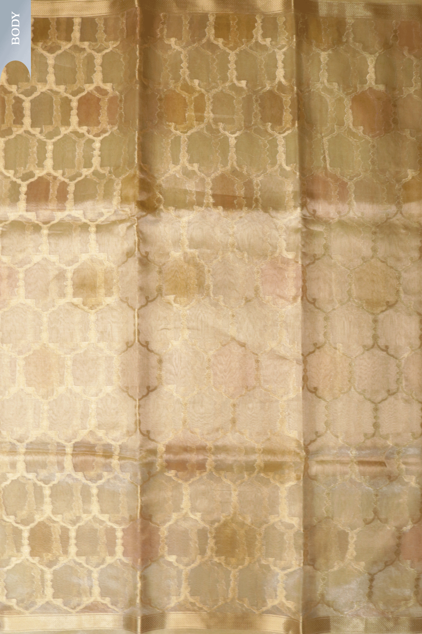 Champagne Gold Tissue Kora Banarasi Saree with Trellis Motifs  Mokshaa