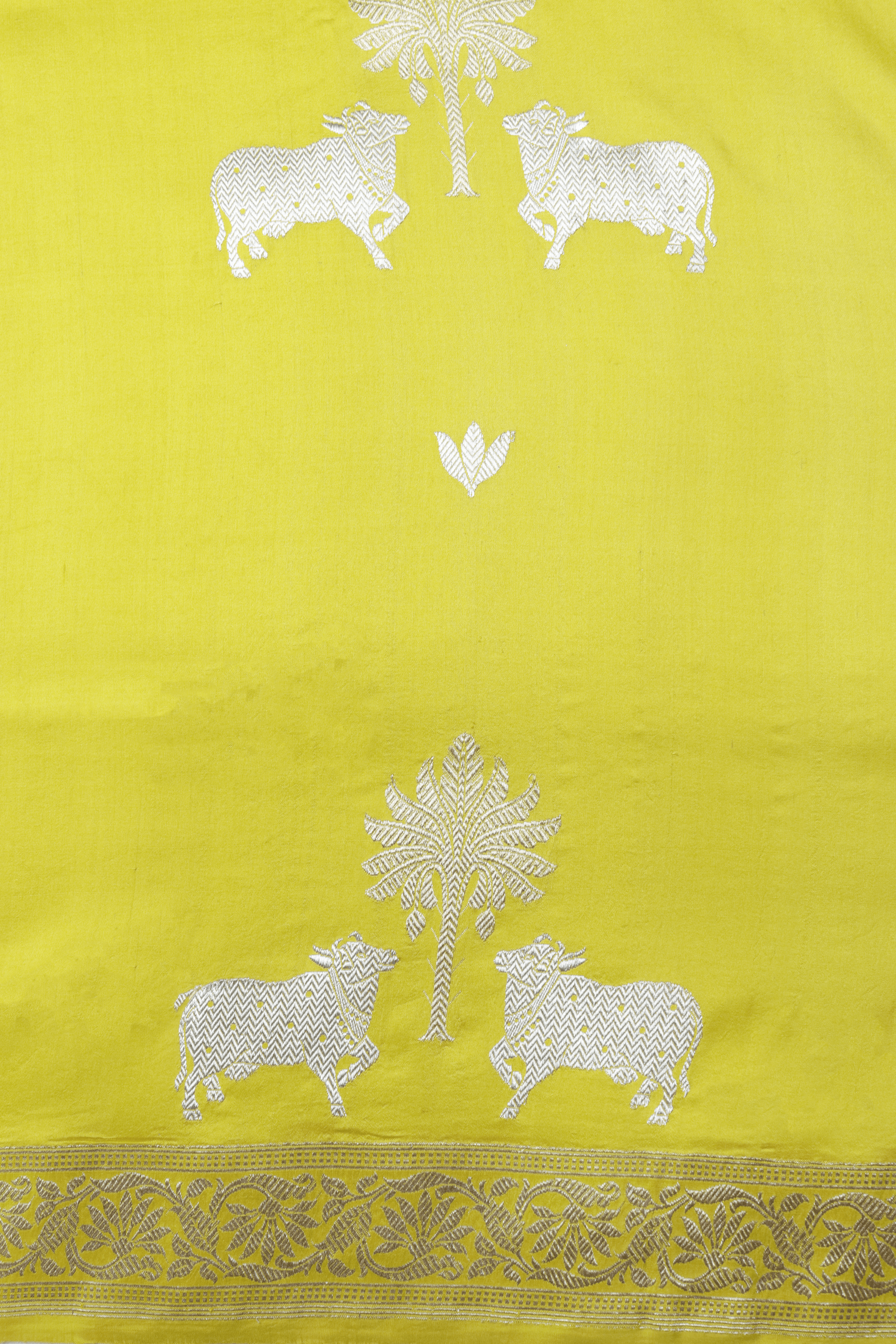 Bright Yellow Banarasi Silk Saree  Mokshaa