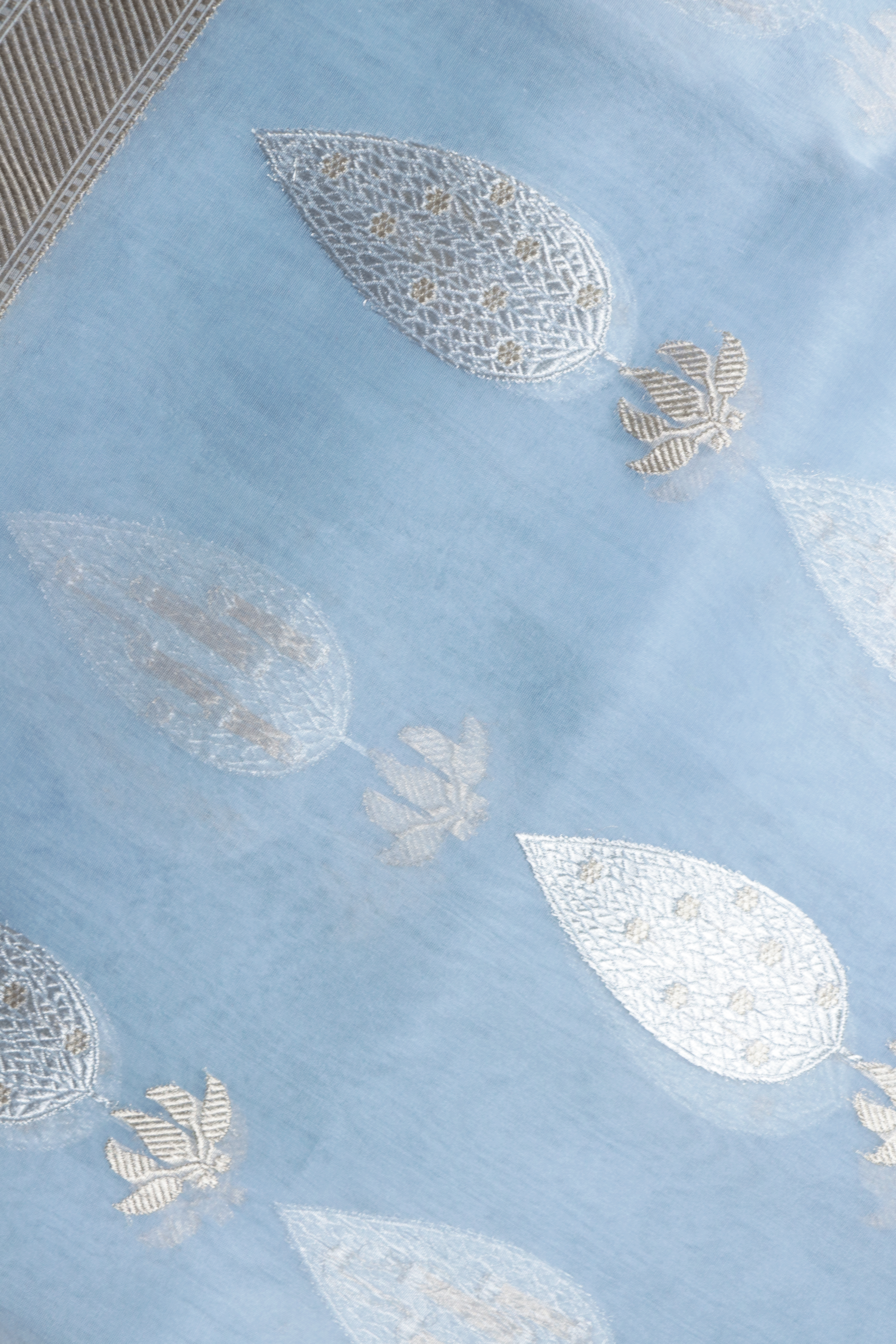 Sky Blue Tissue Organza Saree with Silver Motifs  Mokshaa