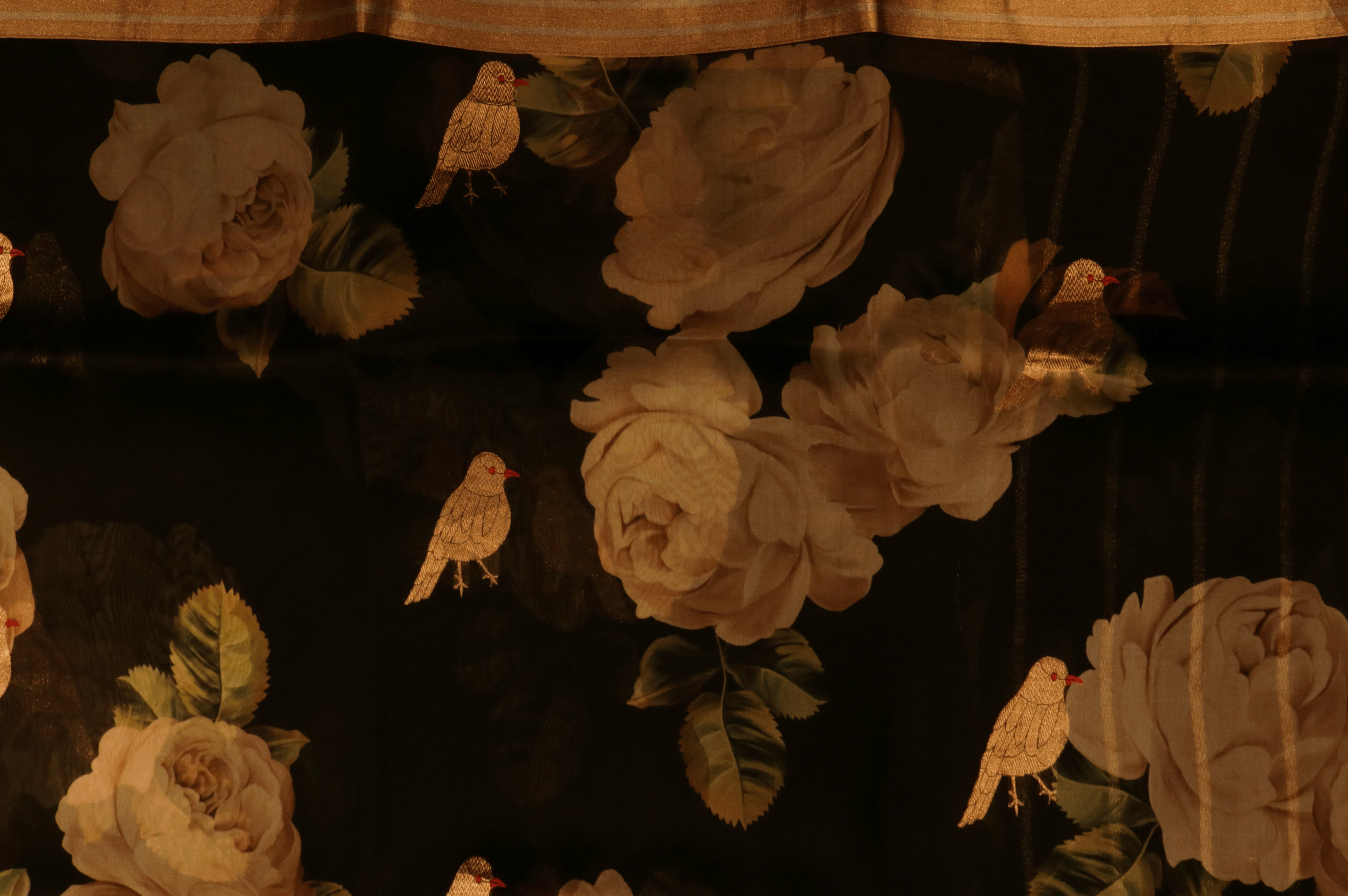 Black Printed Organza Saree  Mokshaa