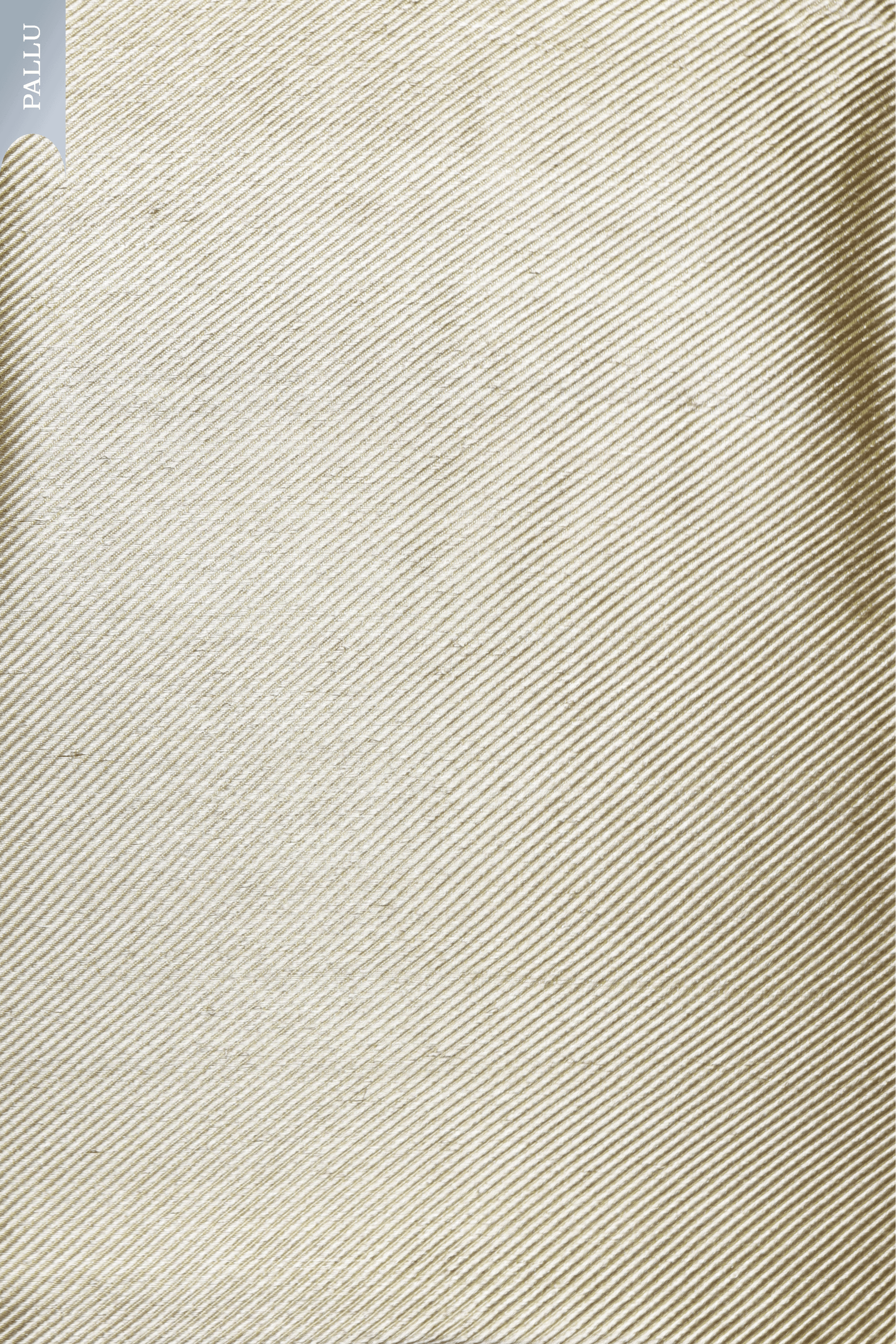 Olive Green Tissue Kora Saree - Mokshaa