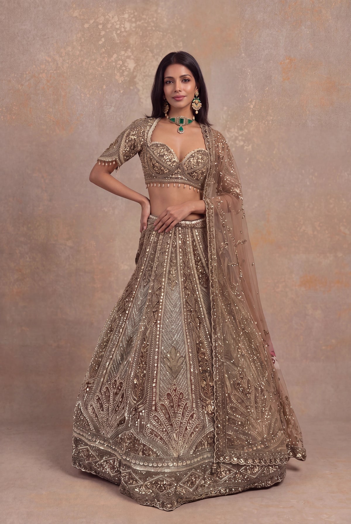Honey Net Embellished Lehenga