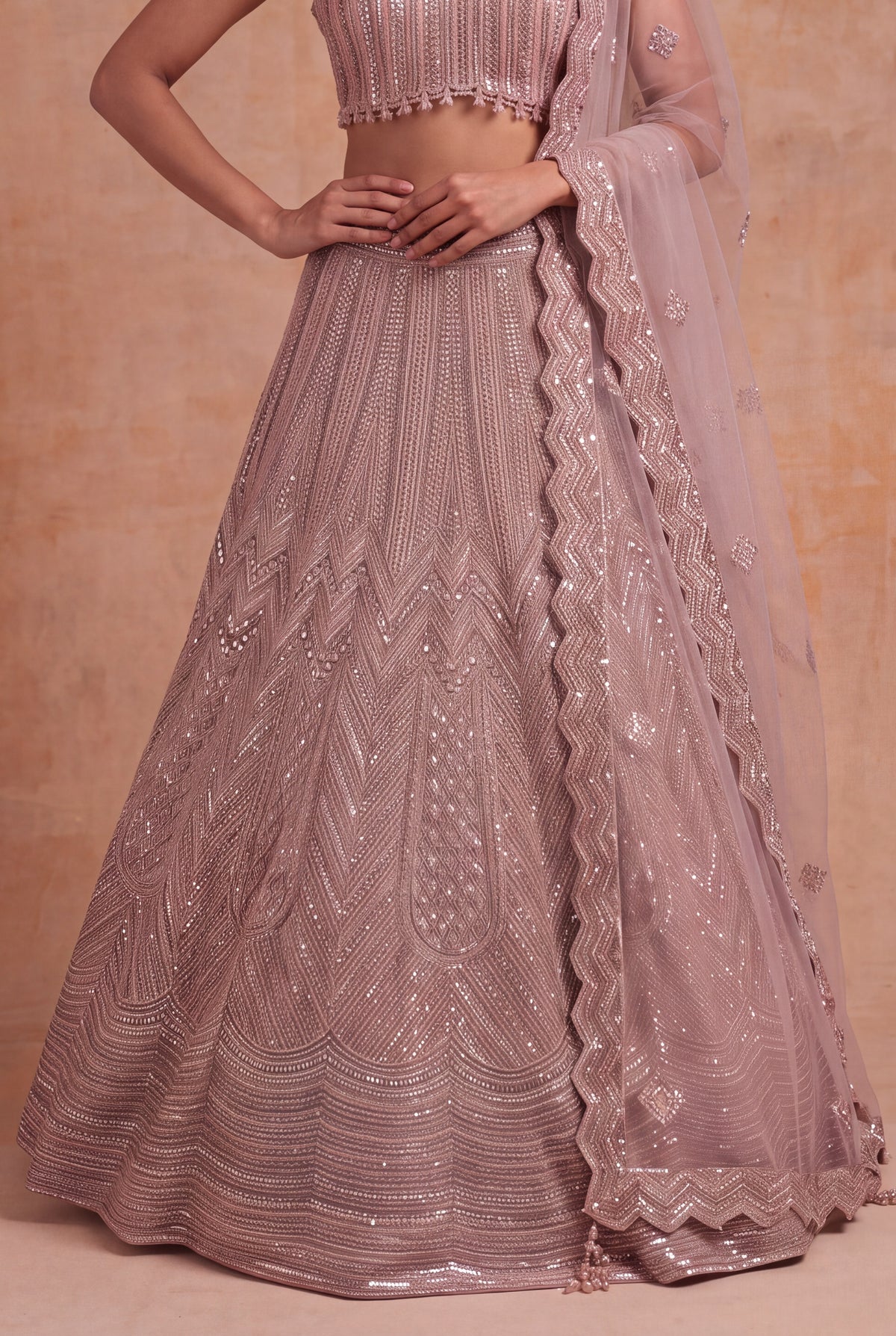 Dusty Rose Embellished Lehenga