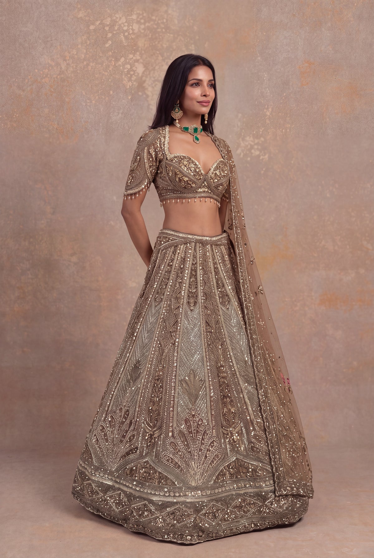 Honey Net Embellished Lehenga