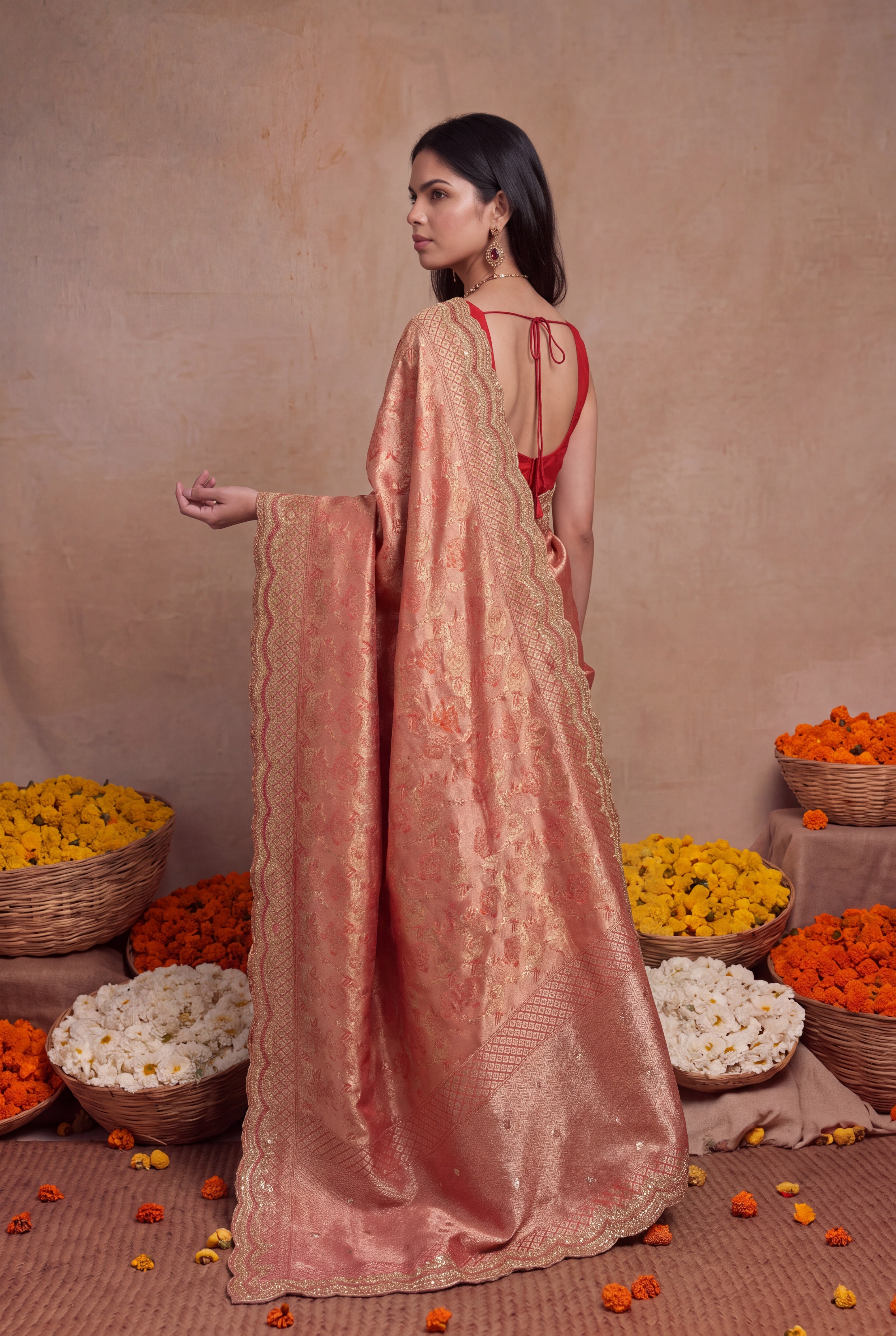 Red Banarasi Zardozi Saree