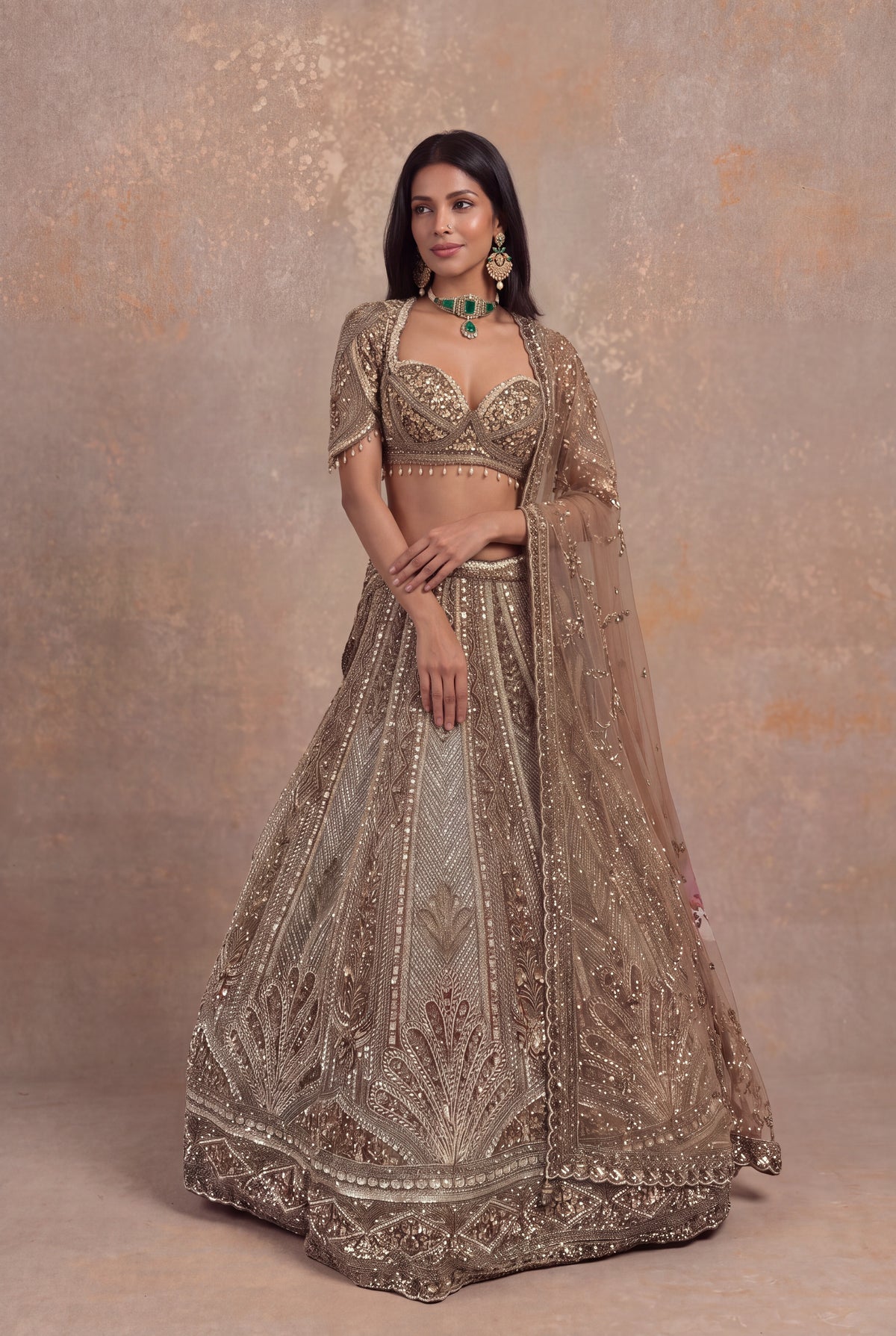 Honey Net Embellished Lehenga