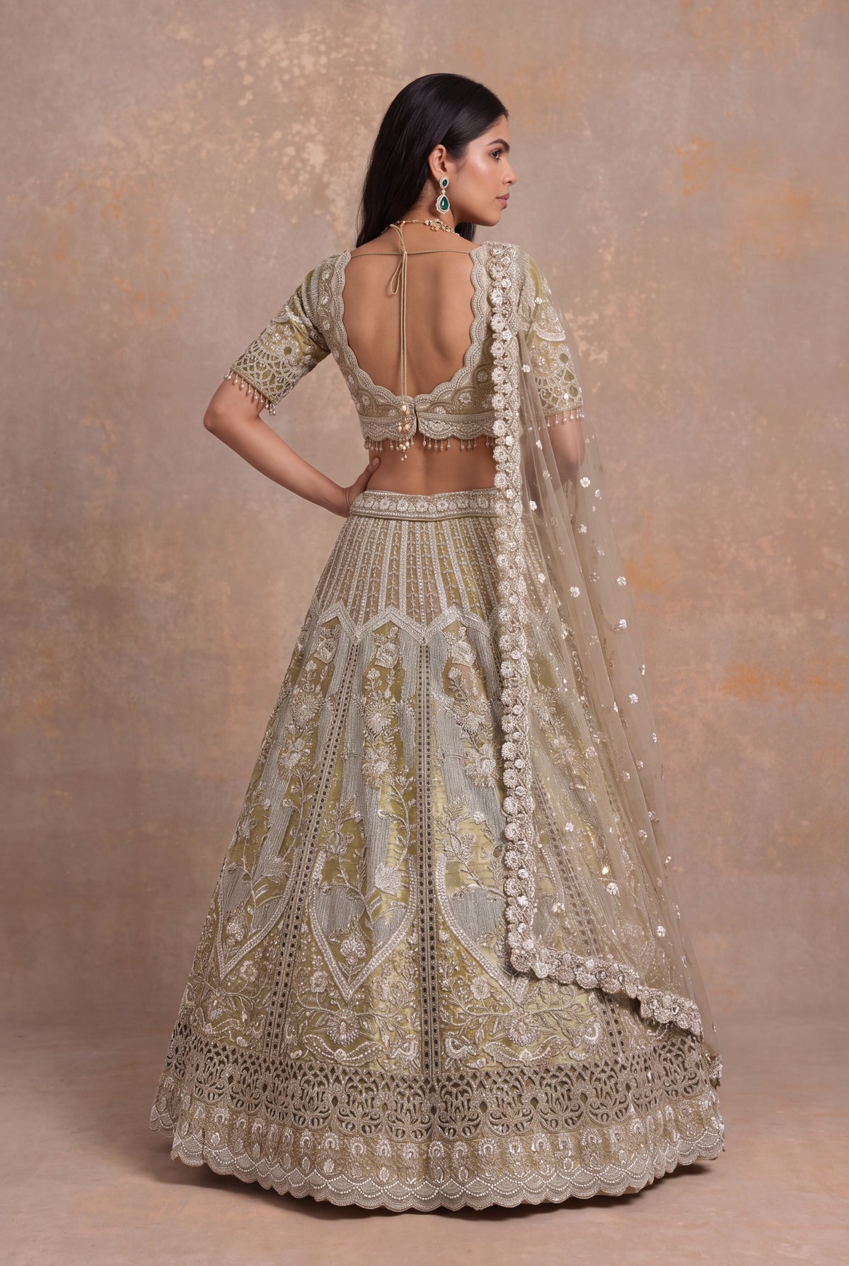 Shimmer Tissue Cutwork Lehenga