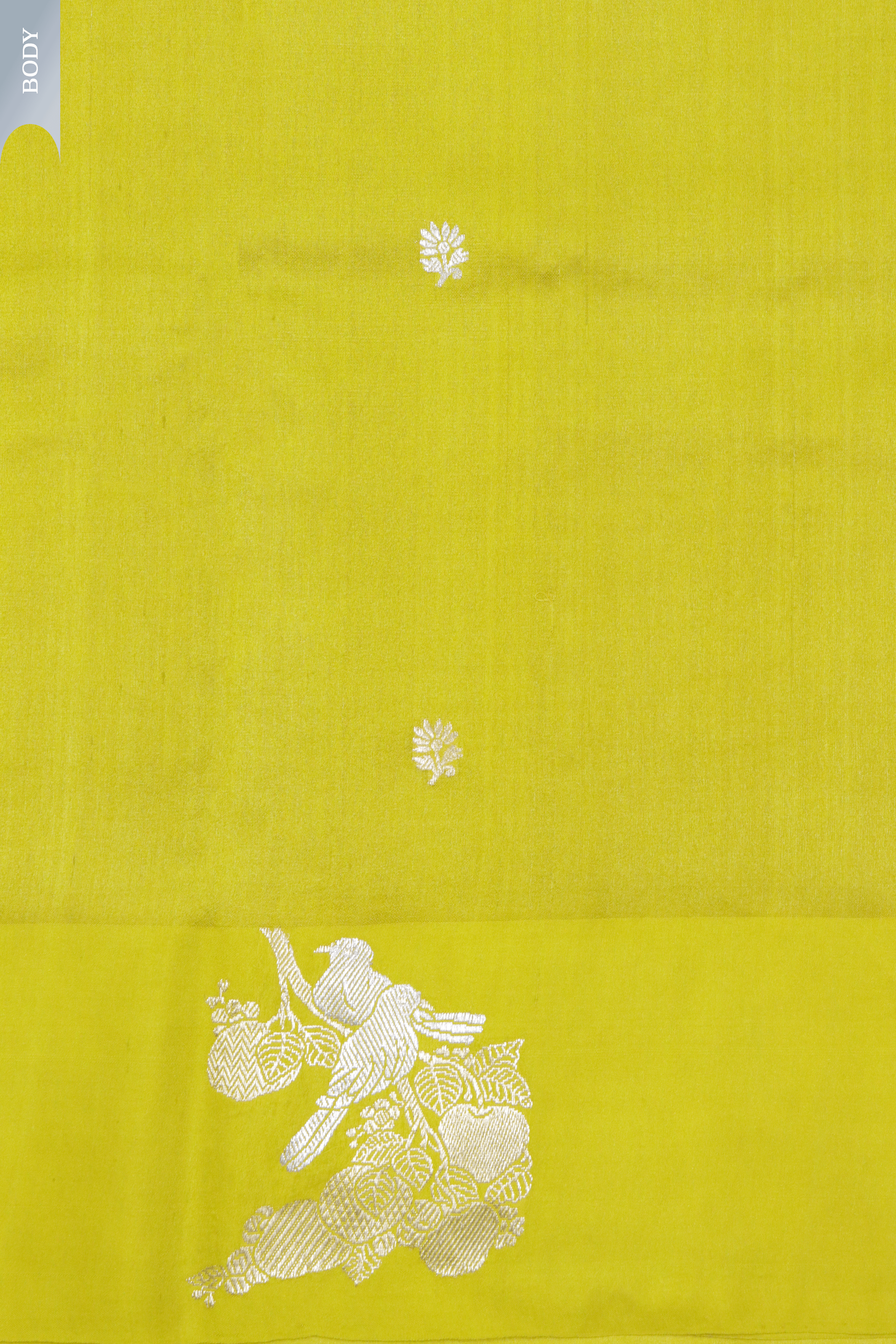Lime Yellow Banarasi Chanderi Silk Saree with Bird Motif and Satin Border