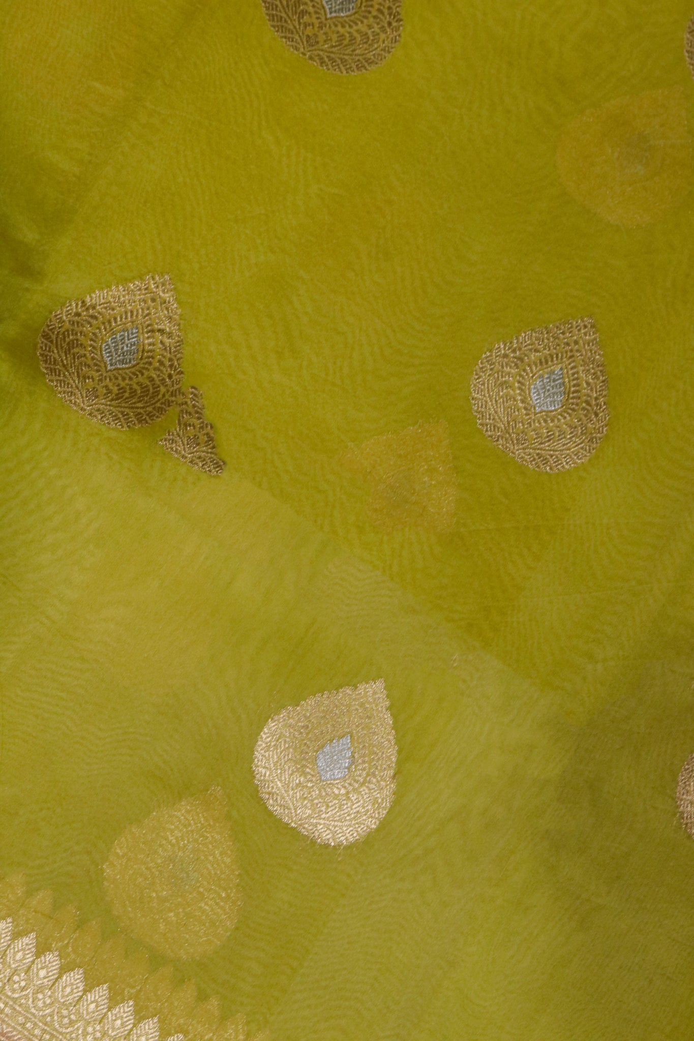 Greenish Yellow Banarasi Kora Saree with Gold-Silver Motifs & Contrast Blouse