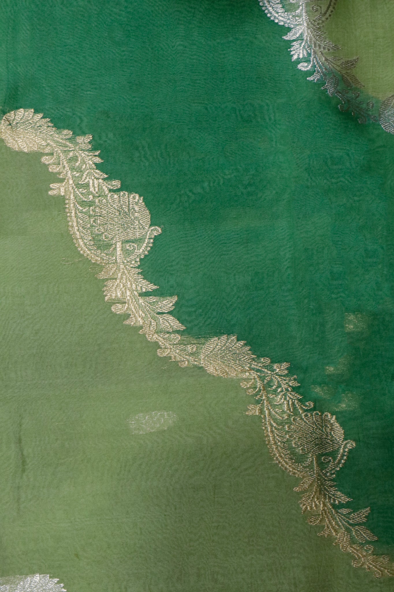 Multi-Green Banarasi Kora Saree with Zari Embroidered Motifs