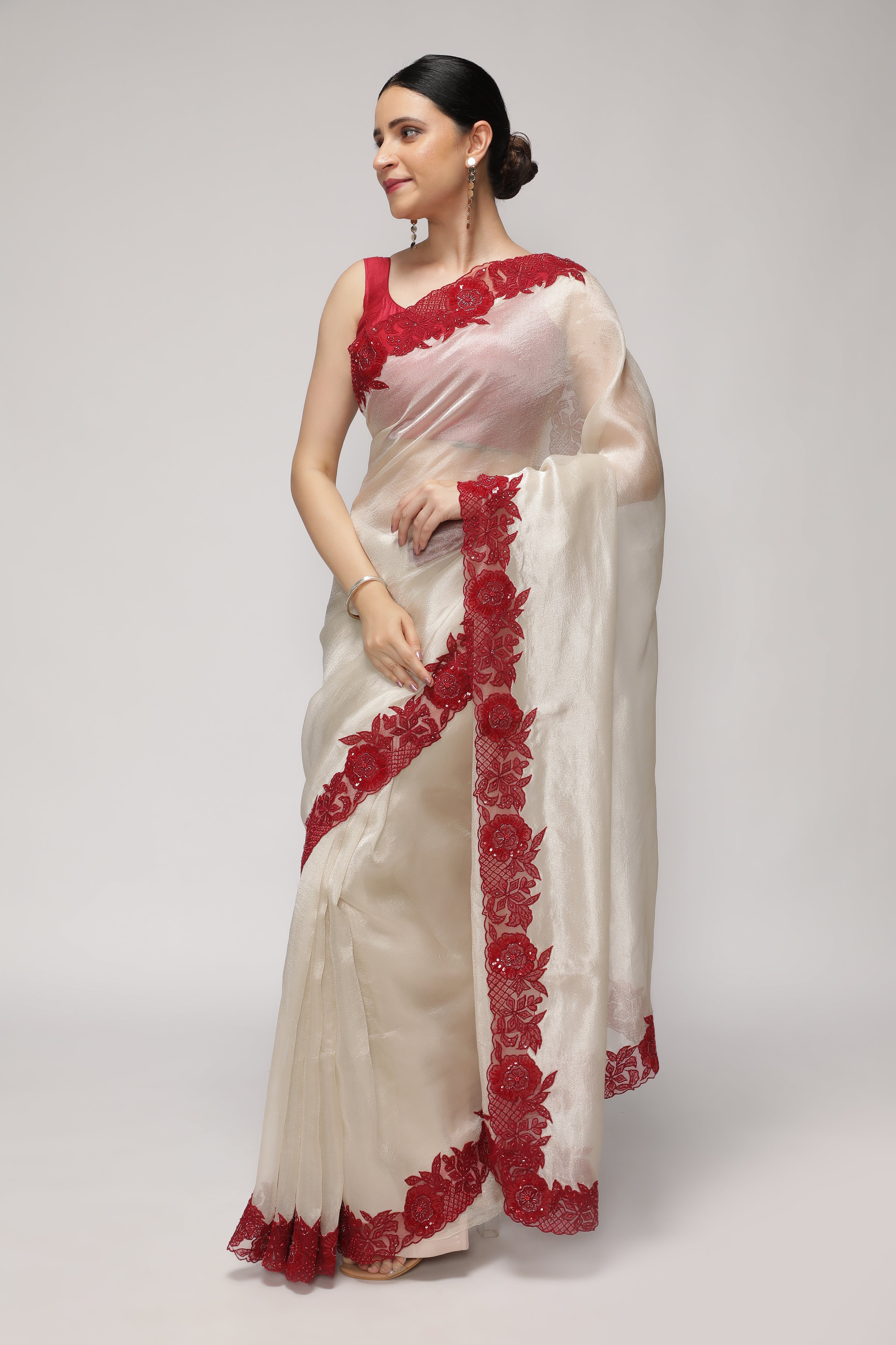 Silver Tissue Saree with Contrast Red Net Embroidery Border