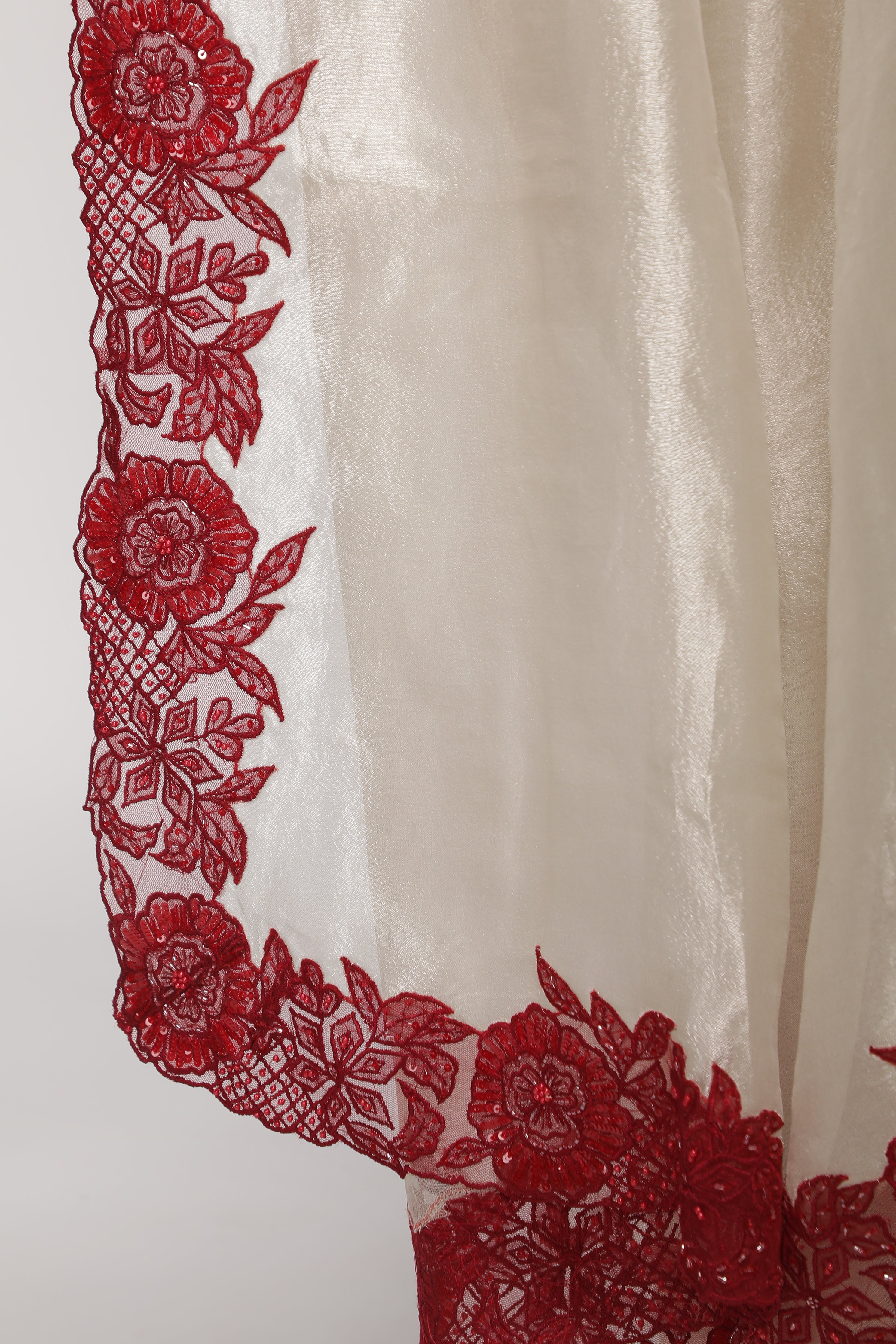 Silver Tissue Saree with Contrast Red Net Embroidery Border