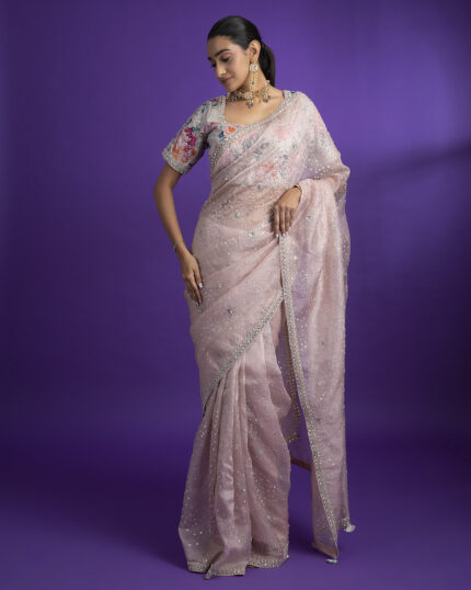 Light Pink Net Saree with Crystal Embroidery